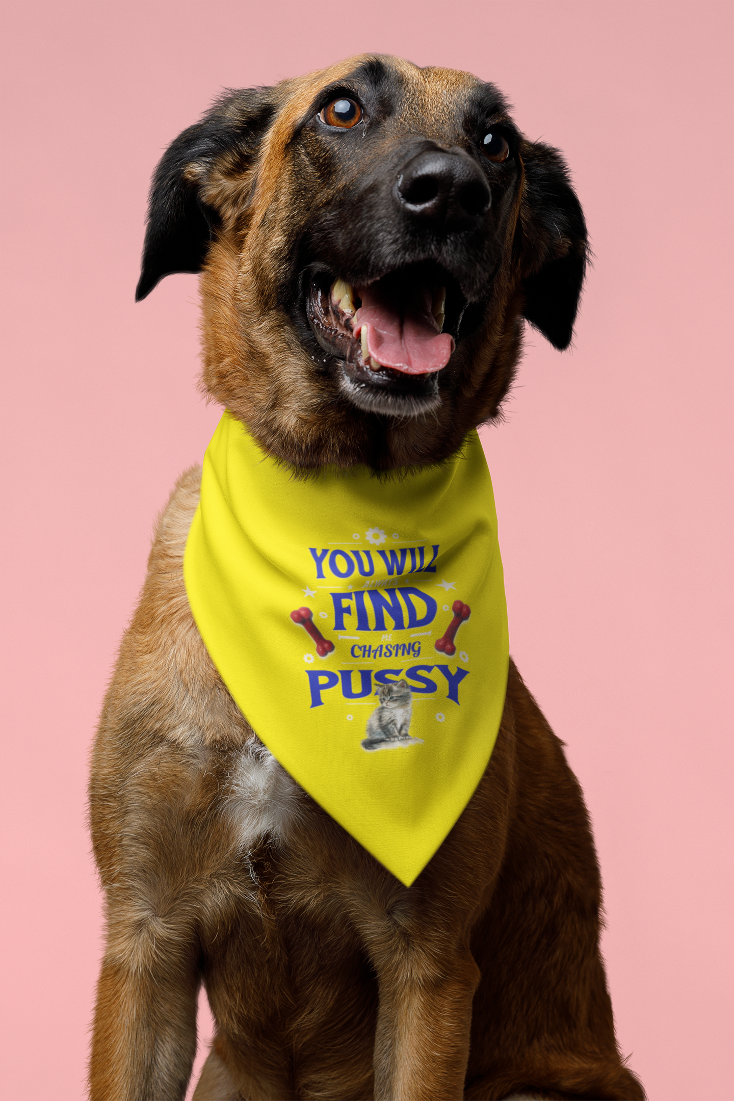 Playful Clip-on Pet Bandana for Pets, Funny Dog Bandana, Funny Pet Costume, Gift for Pet Lovers, Cute Pet Wear, You Will Find Me Chasing product thumbnail image Playful Clip-on Pet Bandana for Pets, Funny Dog Bandana, Funny Pet Costume, Gift for Pet Lovers, Cute Pet Wear, You Will Find Me Chasing product thumbnail image