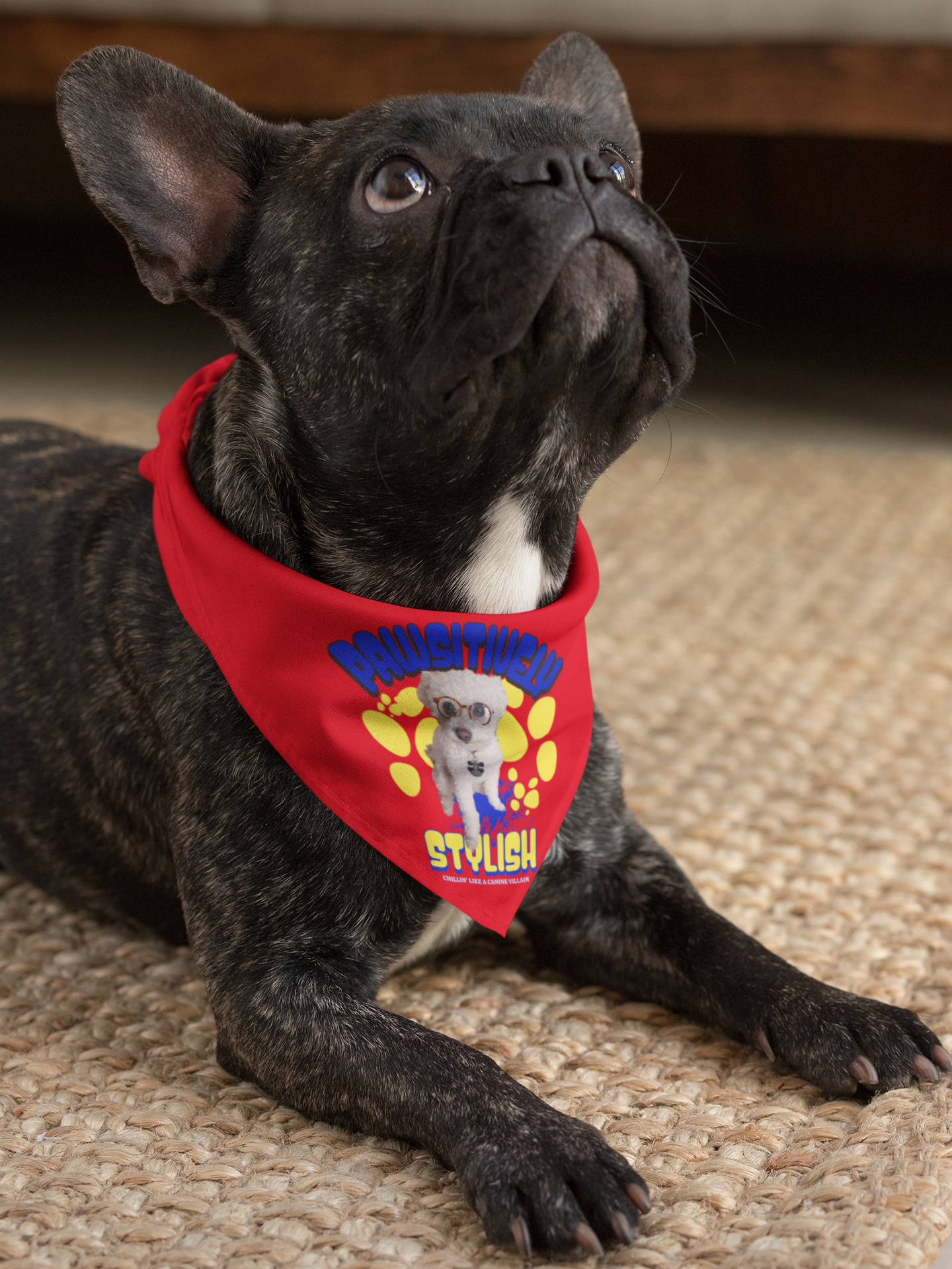 Stylish Personalized Pet Bandana for Dogs, Custom Cute Dog Accessory, Pet Clothing, Dog Birthday Gift, Pet Fashion, Everyday Wear product thumbnail image Stylish Personalized Pet Bandana for Dogs, Custom Cute Dog Accessory, Pet Clothing, Dog Birthday Gift, Pet Fashion, Everyday Wear product thumbnail image