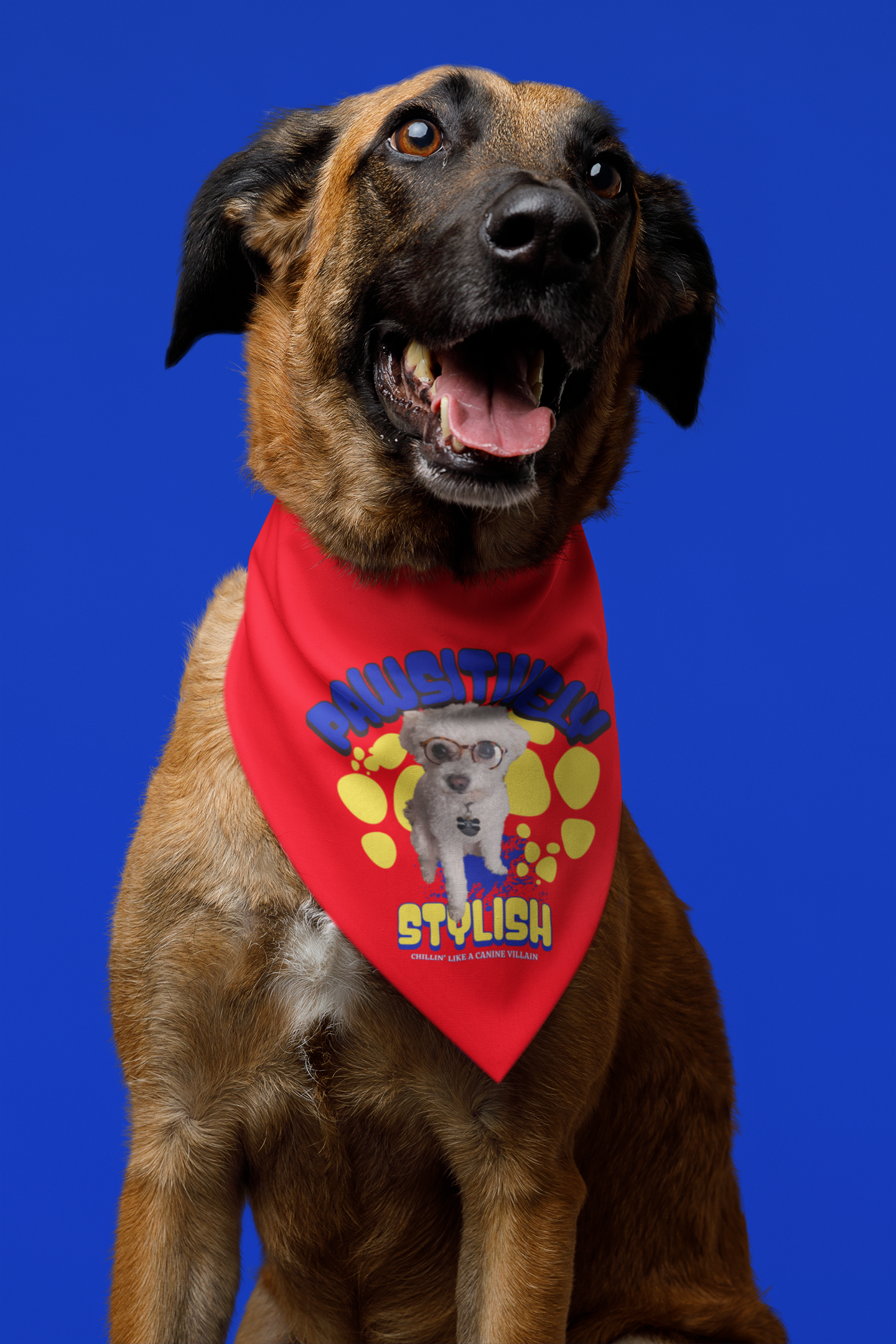 Stylish Personalized Pet Bandana for Dogs, Custom Cute Dog Accessory, Pet Clothing, Dog Birthday Gift, Pet Fashion, Everyday Wear product thumbnail image Stylish Personalized Pet Bandana for Dogs, Custom Cute Dog Accessory, Pet Clothing, Dog Birthday Gift, Pet Fashion, Everyday Wear product thumbnail image