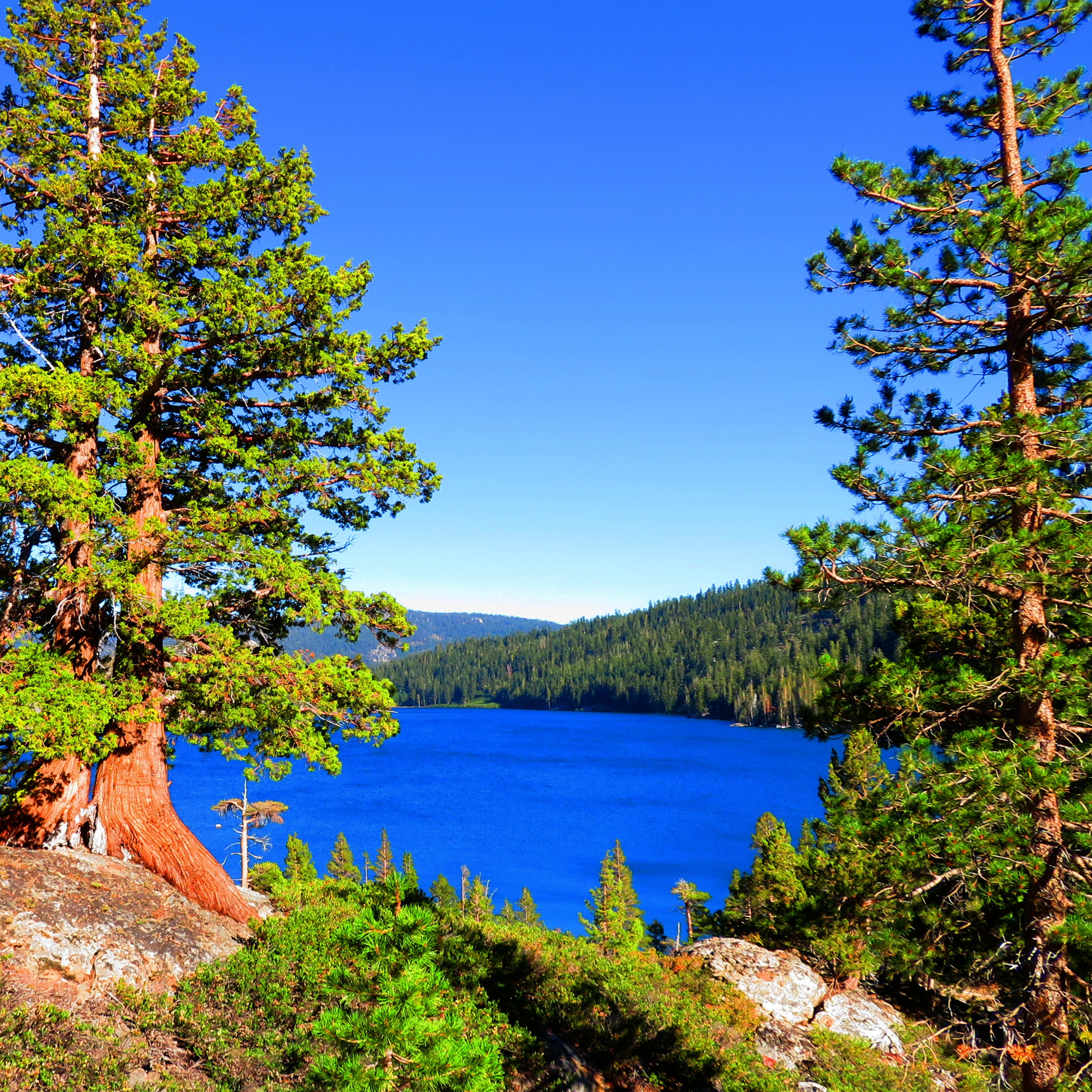 Nature-Inspired Matte Vertical Posters | Sunset Wall Art, Home Decor, Gift for Nature Lovers, Aesthetic Prints, Office Decor Nature-Inspired Matte Vertical Posters | Sunset Wall Art, Home Decor, Gift for Nature Lovers, Aesthetic Prints, Office Decor