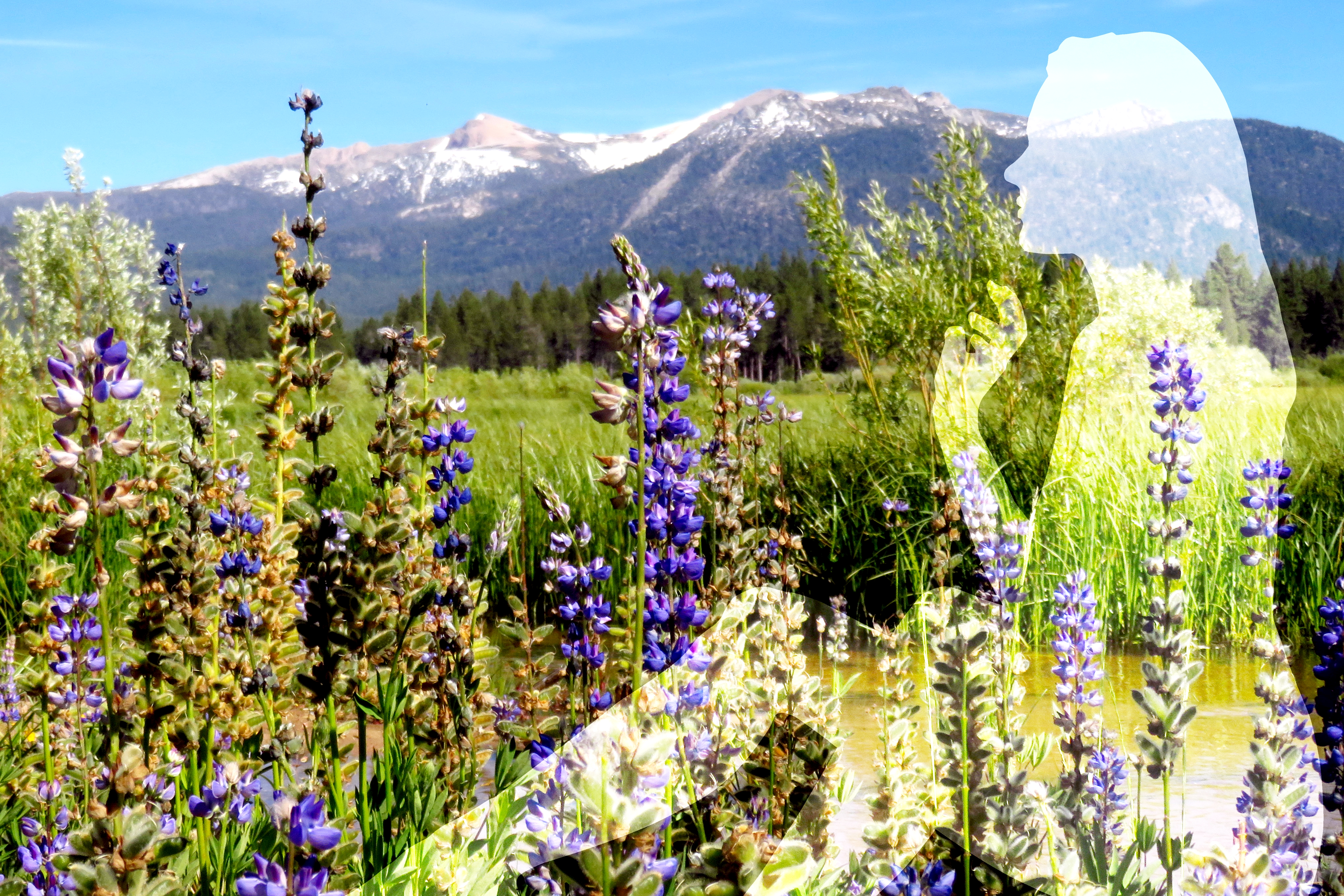 Lake Tahoe Canvas Art Wraps, Nature Home Decor, Wall Art, Gift for Nature Lovers, Scenic Landscape Print, Outdoor Inspiration product thumbnail image