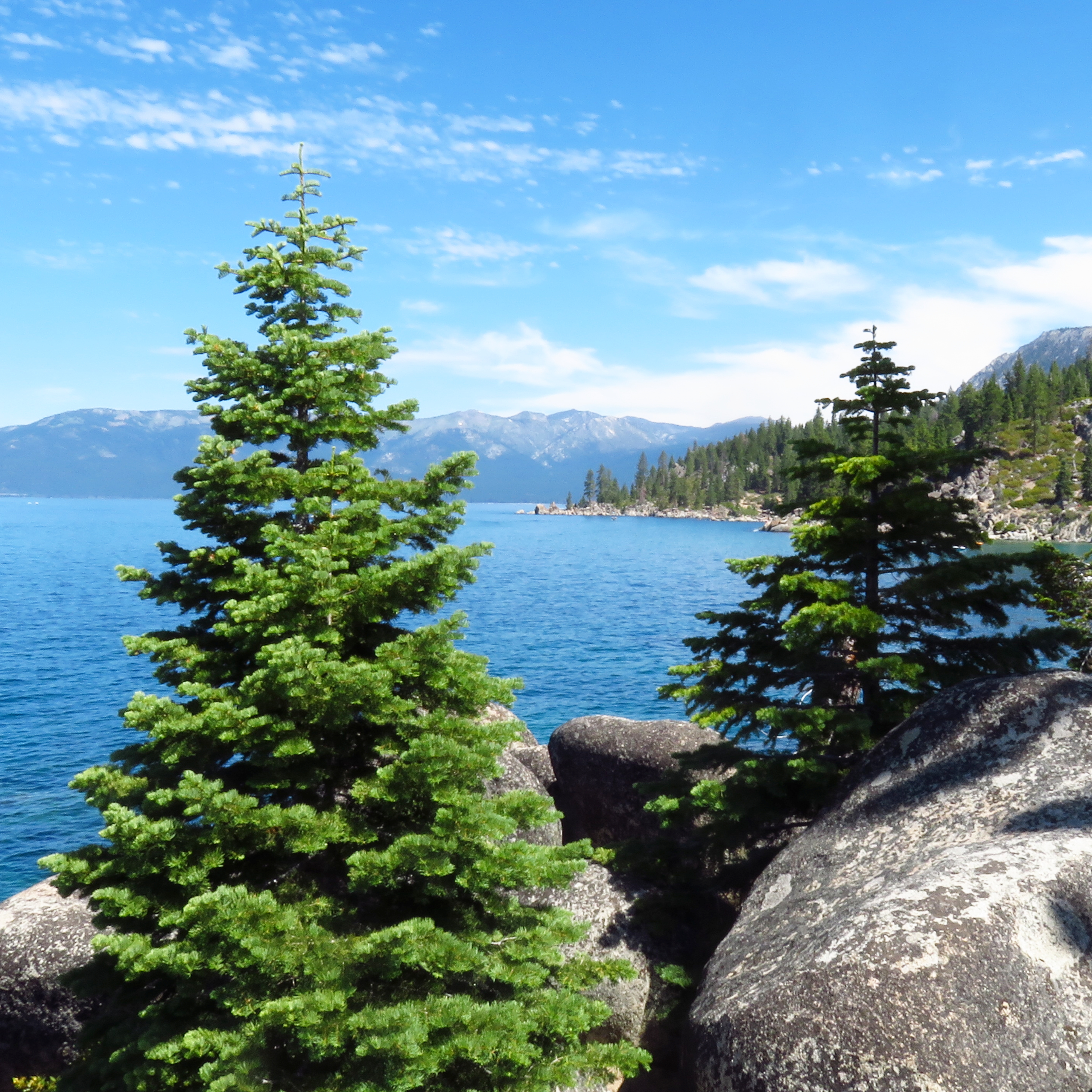 Silhouette Sunset Framed Poster, Wall Art, Home Decor, Minimalist Design, Gift for Her, Motivational Decor Silhouette Sunset Framed Poster, Wall Art, Home Decor, Minimalist Design, Gift for Her, Motivational Decor