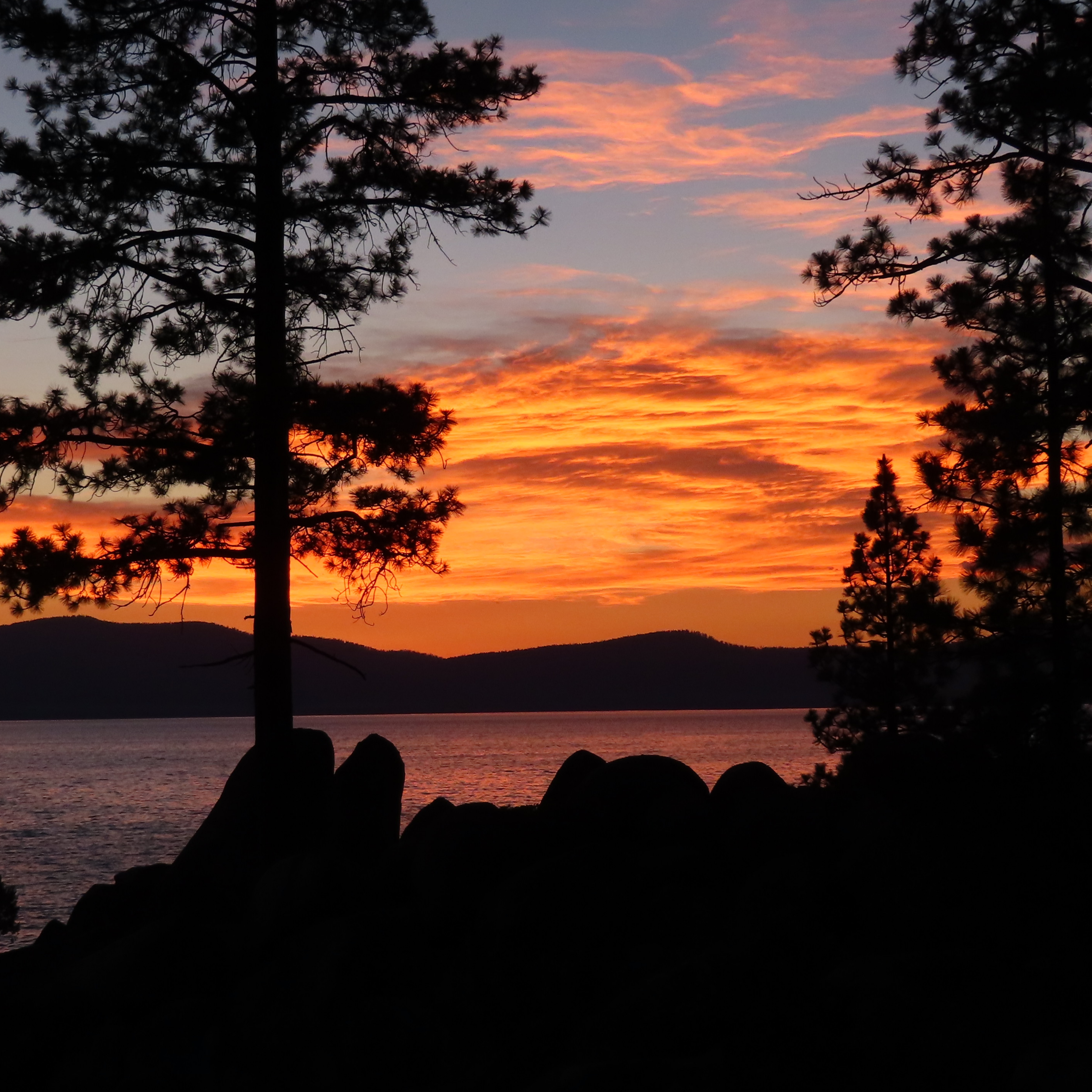 Bold Art Print, Edgy Wall Decor, Contemporary Frame, Unique Gift for Home, Modern Art Poster, Statement Piece Bold Art Print, Edgy Wall Decor, Contemporary Frame, Unique Gift for Home, Modern Art Poster, Statement Piece