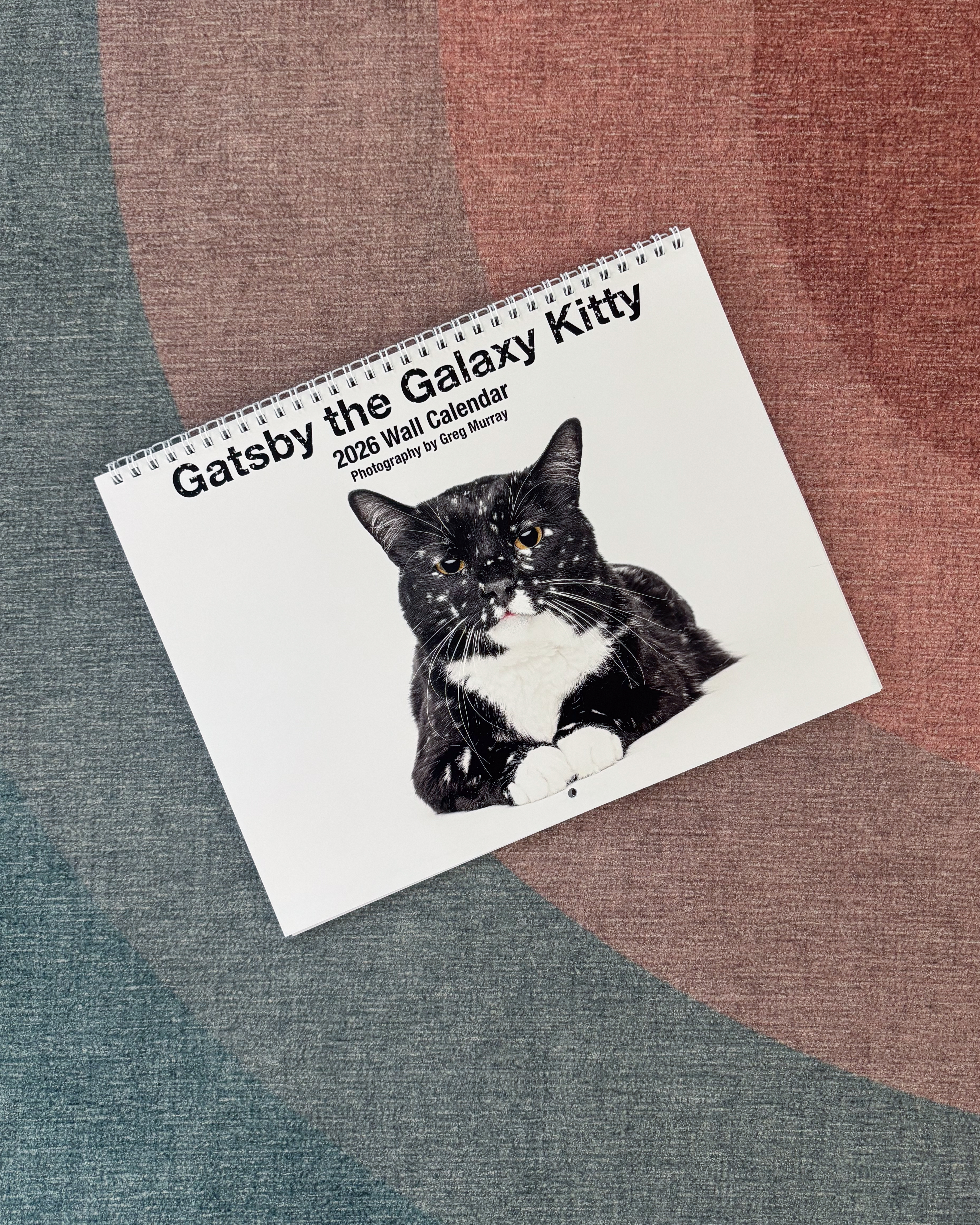 Gatsby the Rescued Galaxy Kitty 2026 Wall Calendar   product thumbnail image