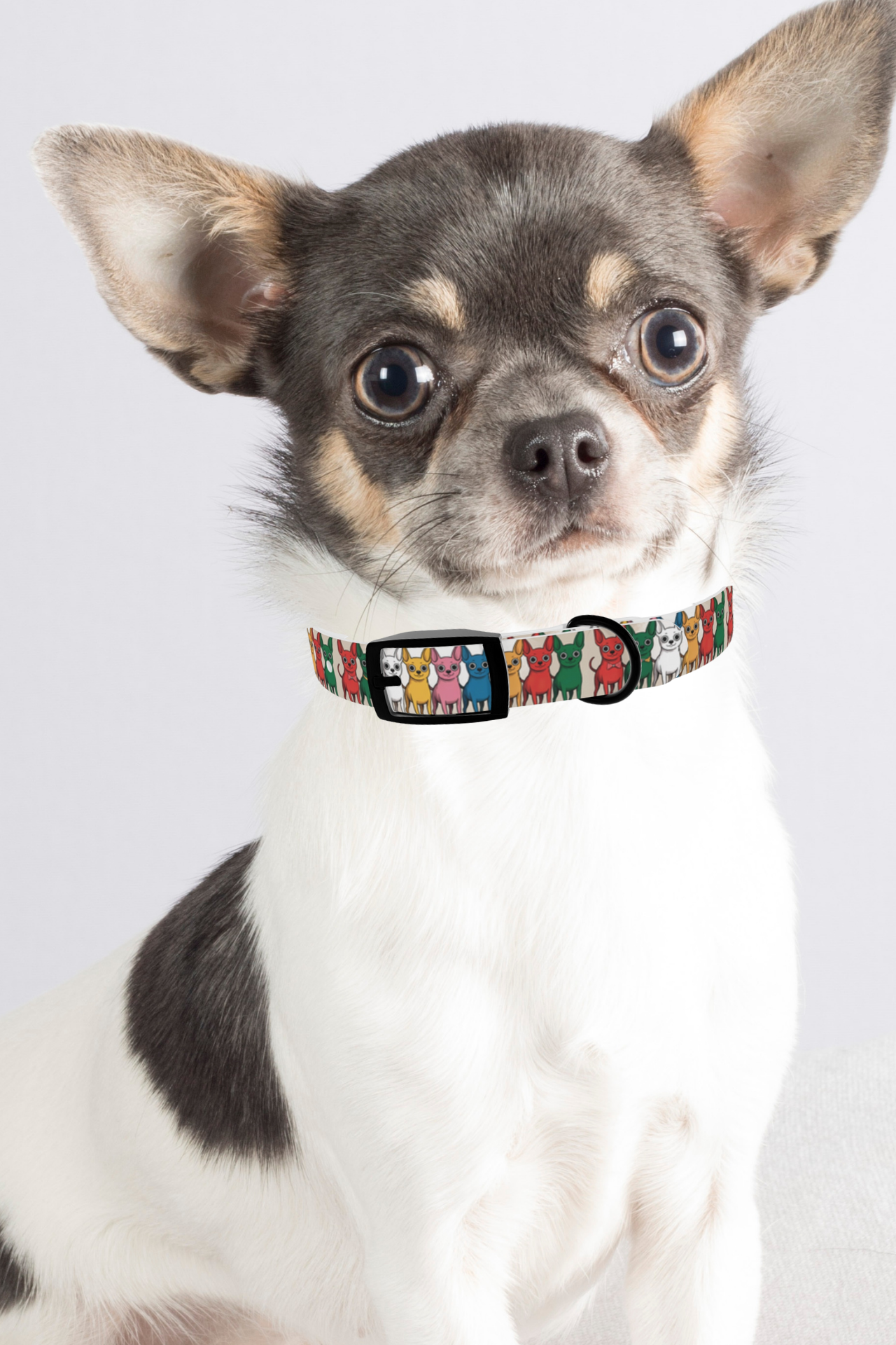Colorful Dog Collar - Playful Pet Accessory for Dog Lovers, Adjustable, Stylish, Fun Gifts for Dogs, Puppy Gear
