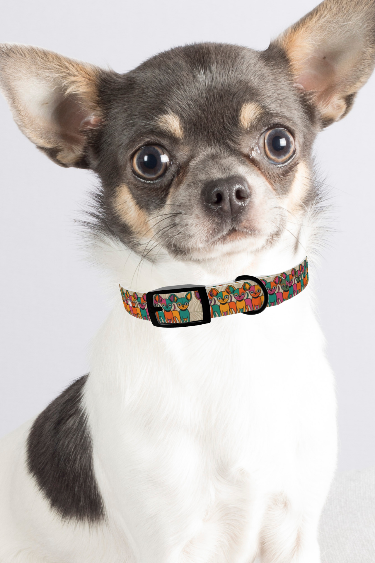 Colorful Dog Collar - Playful Pet Accessory for Dog Lovers, Adjustable, Stylish, Fun Gifts for Dogs, Puppy Gear (2)