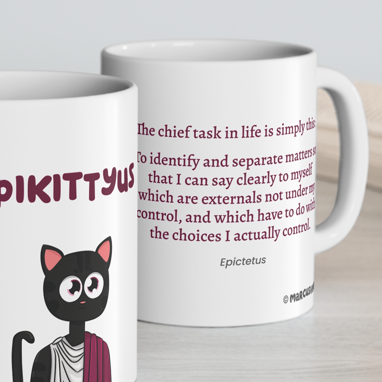 Epikittyus Mug - The chief task in life is simply this: To identify and separate matters so that I can say clearly to myself which are externals not under my control, and which have to do with the choices I actually control.