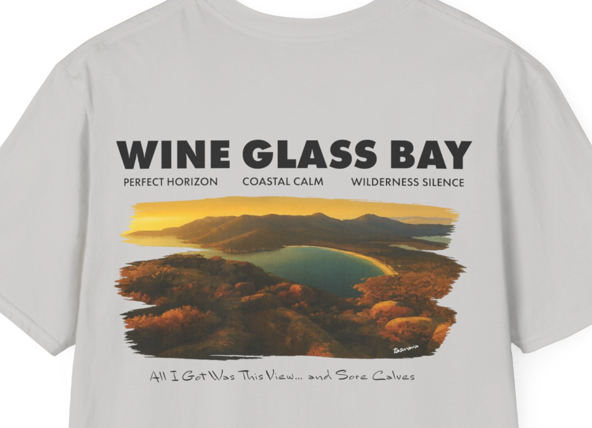 All I Got Was This View T shirt