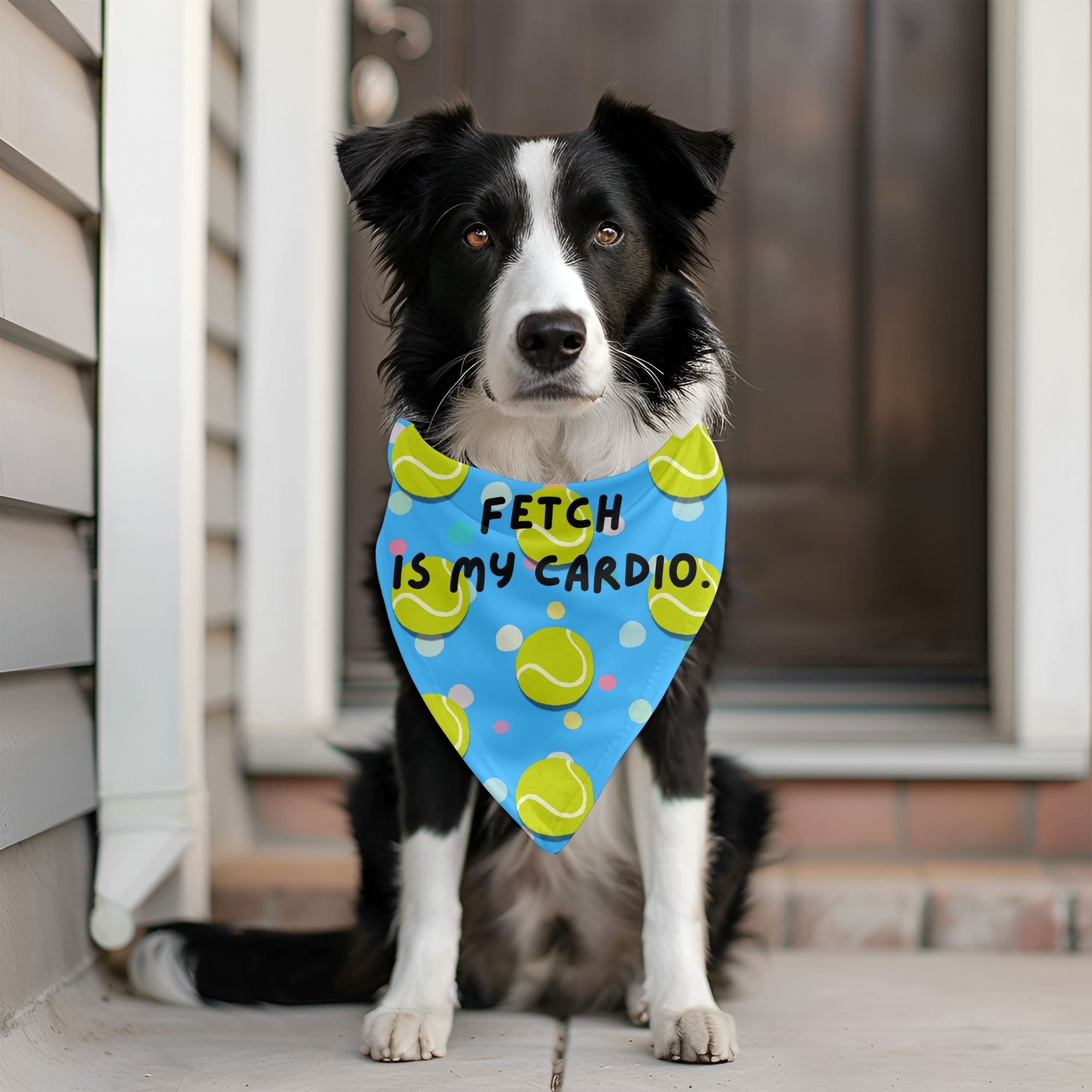 Funny Dog Bandana - Fetch is My Cardio product thumbnail image