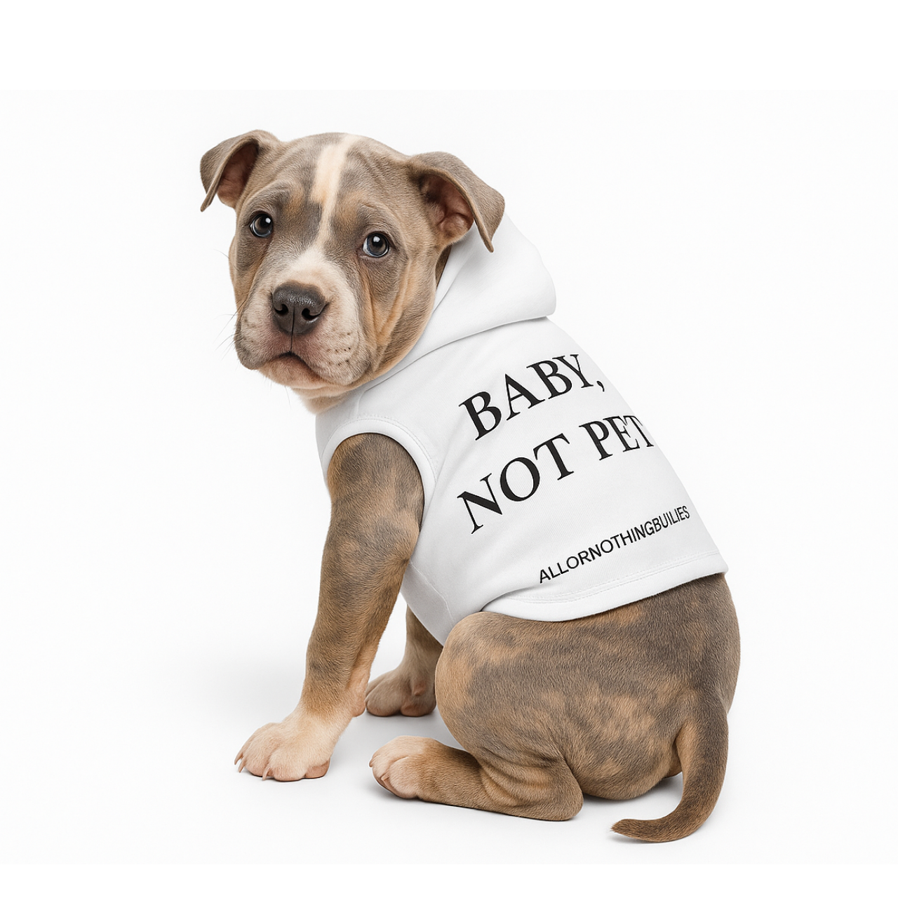 Baby, Not Pet Pet Hoodie - Cozy Dog Sweatshirt for Small Breeds, Cute Pet Apparel, Dog Lover Gift, Pet Costume, Birthday Outfit