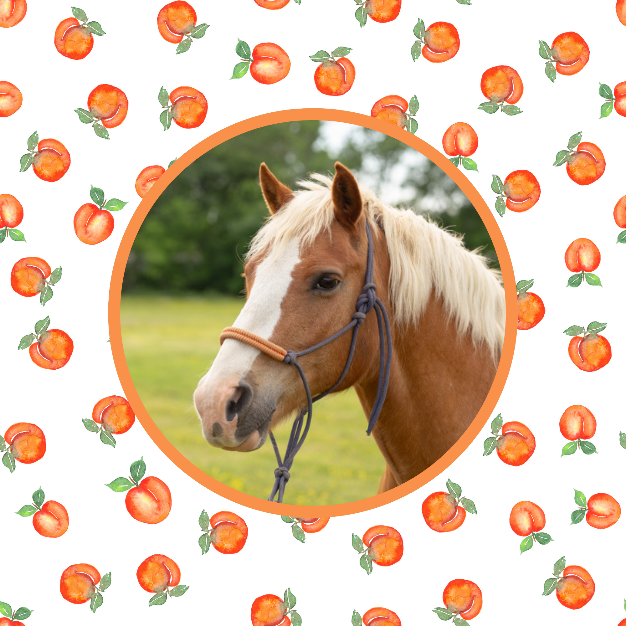 Peachy Tuff Women's Pajama Pants product thumbnail image