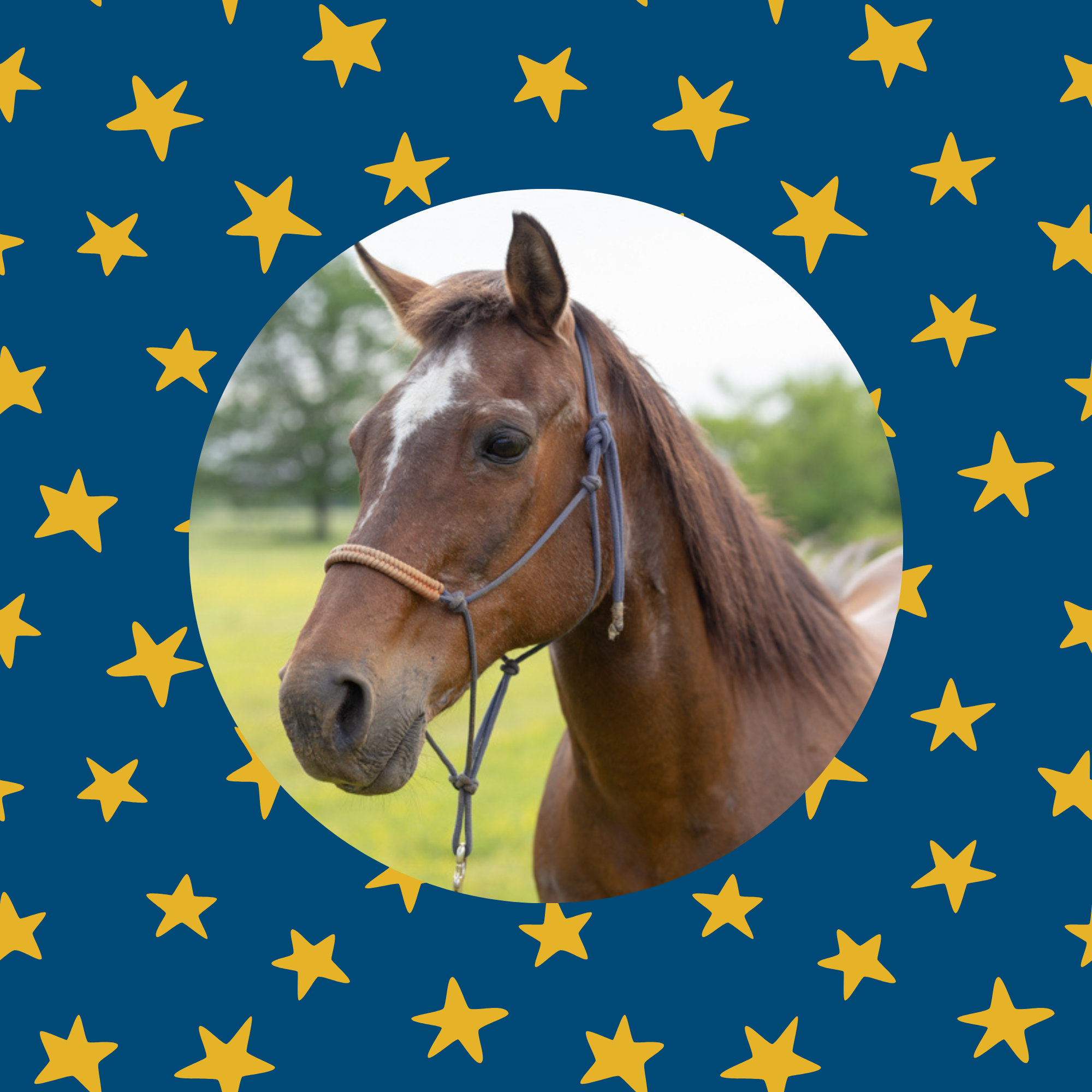 Marvelous Women's Pajama Pants product thumbnail image Marvelous Women's Pajama Pants product thumbnail image