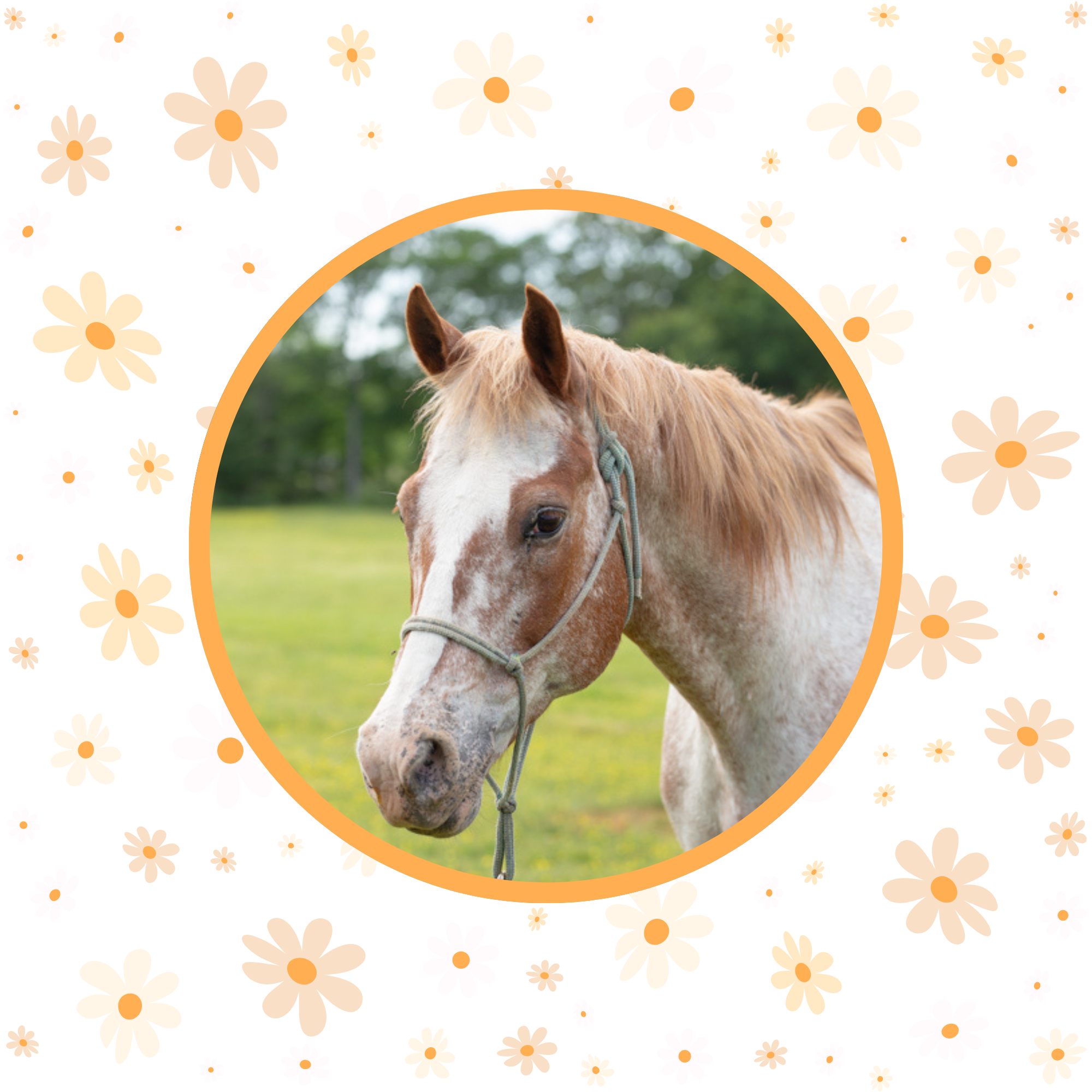 Daisy Dez Women's Pajama Pants product thumbnail image Daisy Dez Women's Pajama Pants product thumbnail image