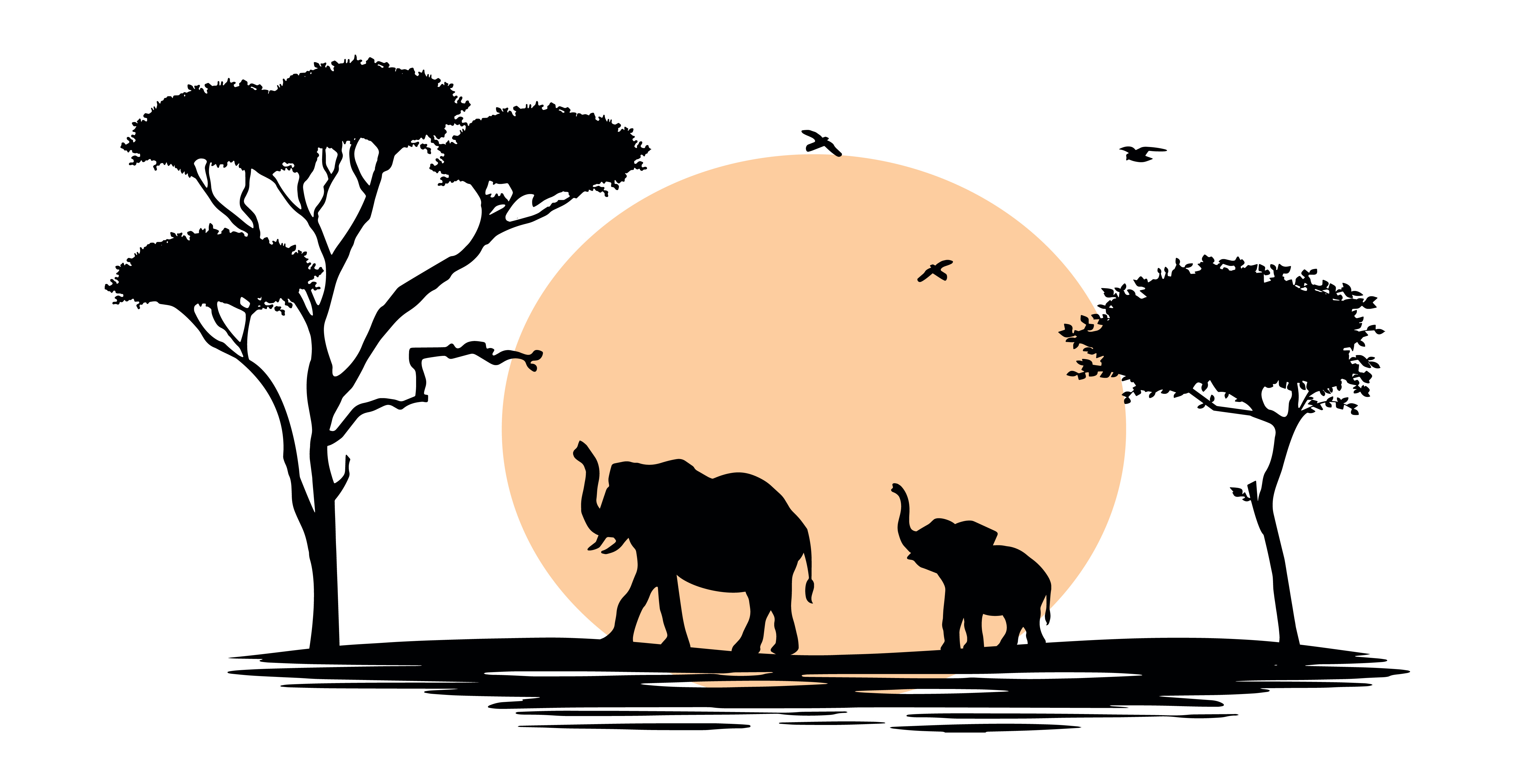 Celebrate Elephants Tee Shirt