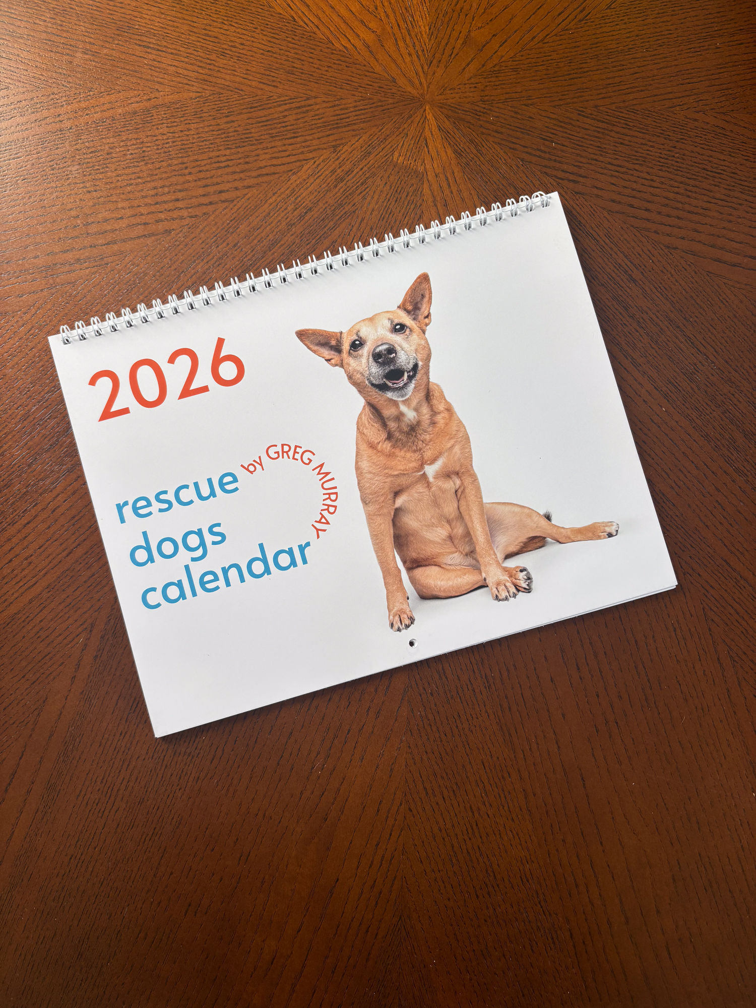  2026 Rescue Dogs Wall Calendar   product thumbnail image