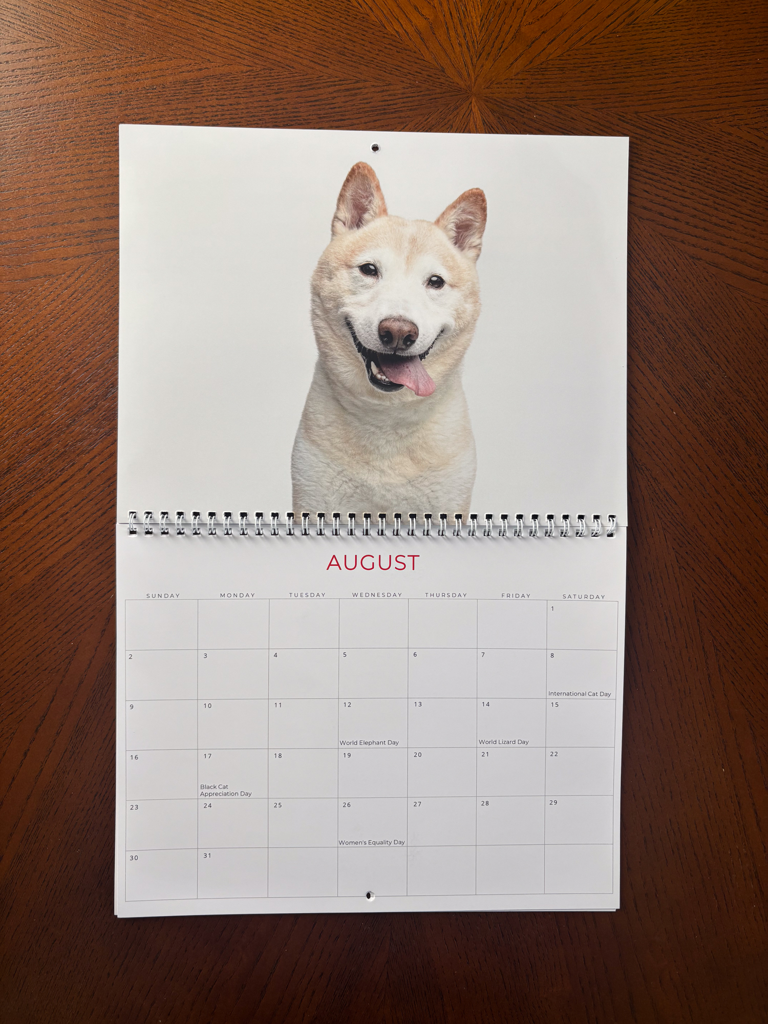 2026 Rescue Dogs Wall Calendar product thumbnail image 2026 Rescue Dogs Wall Calendar product thumbnail image