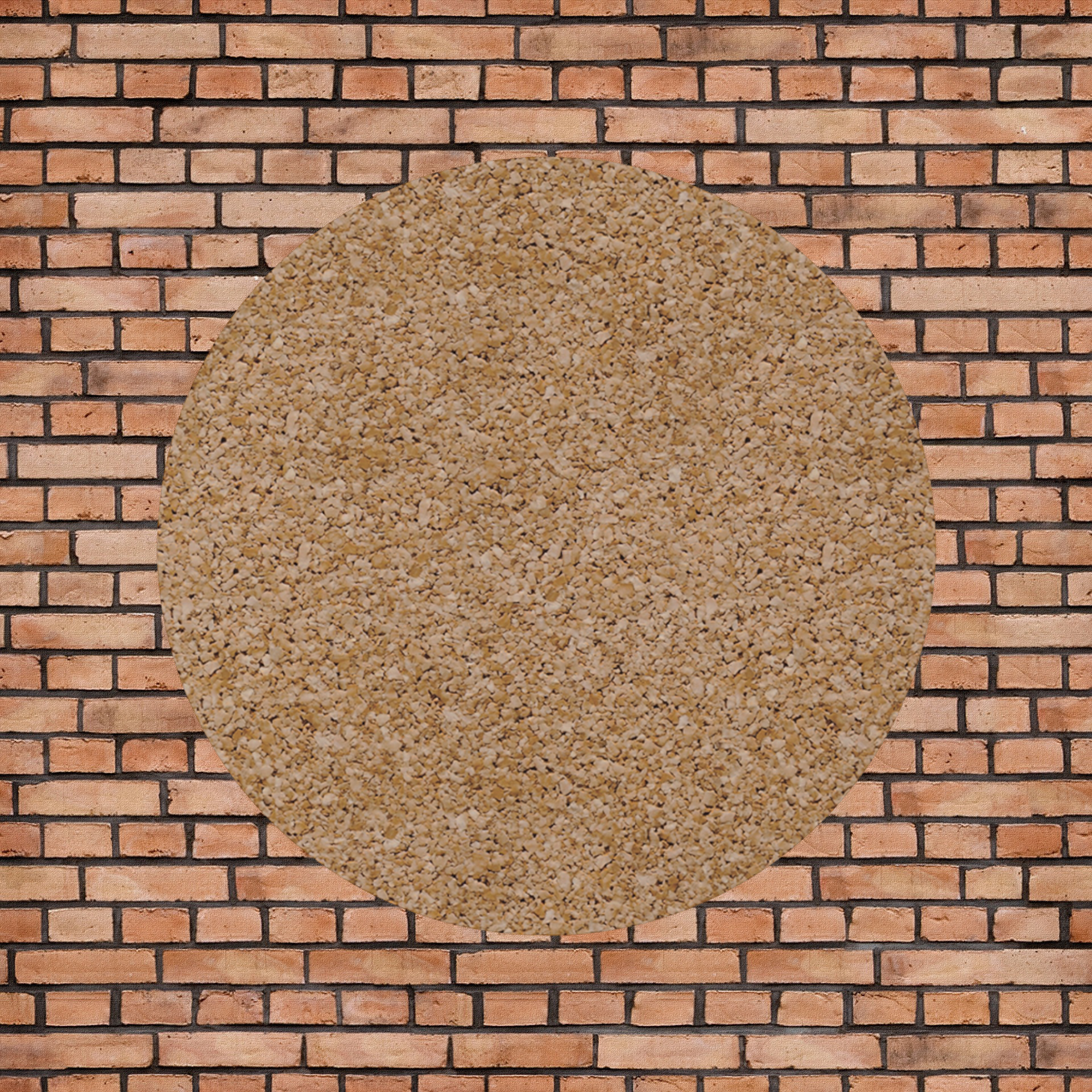 SHALL Logo Cork Coaster product thumbnail image