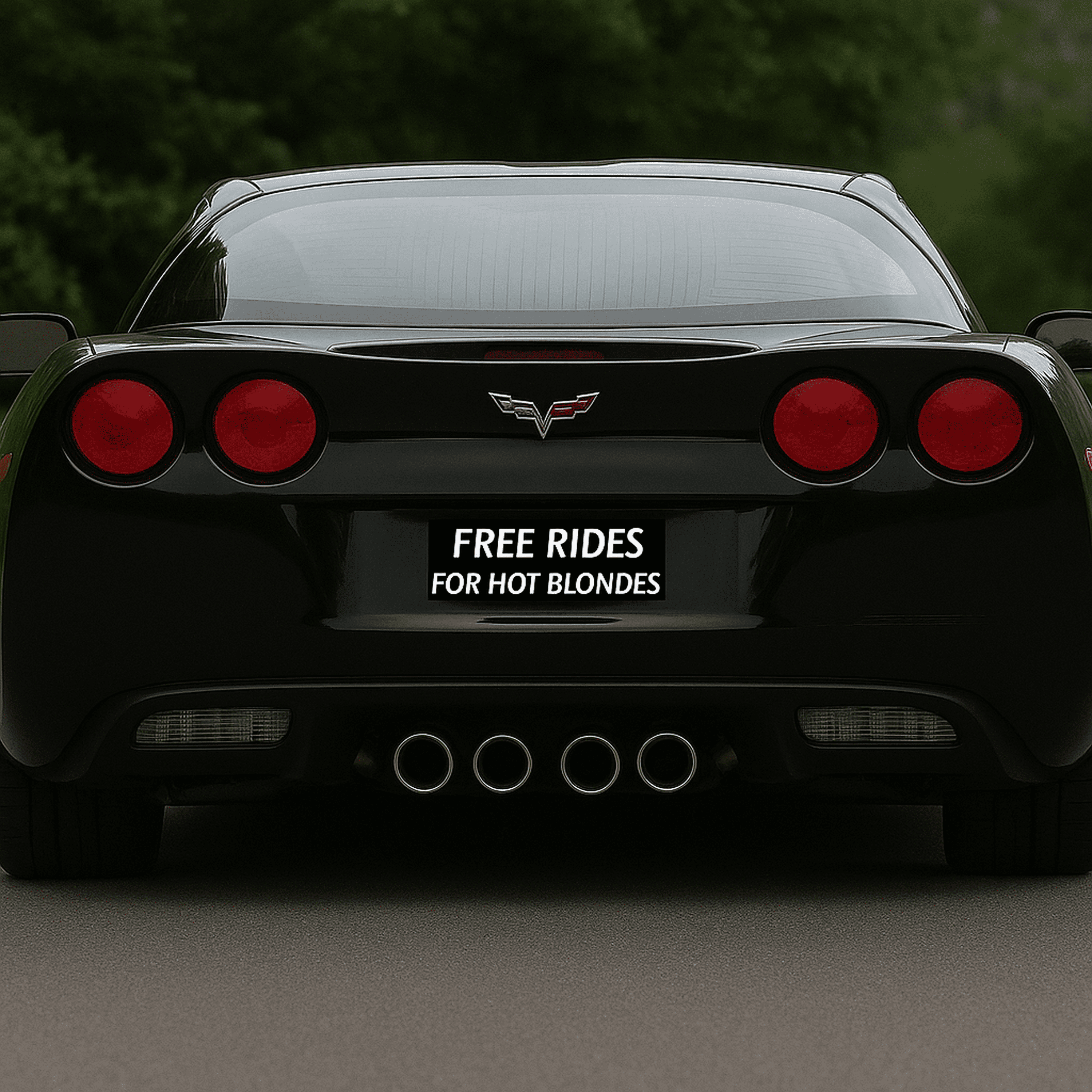 Car Bumper/Rear Sticker, Free Rides For Hot Blondes product thumbnail image Car Bumper/Rear Sticker, Free Rides For Hot Blondes product thumbnail image