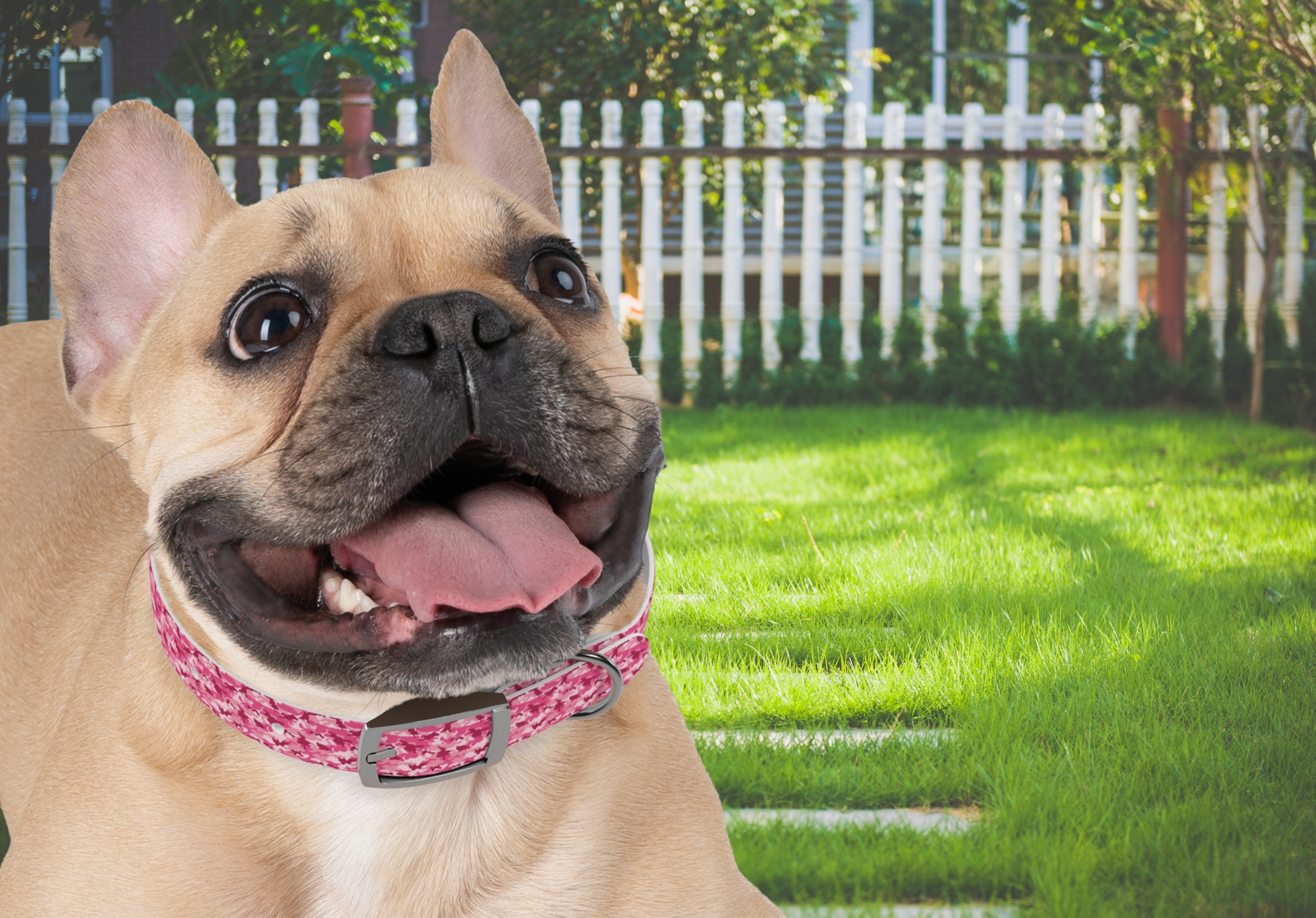 🎀 Frenchie Pink Camo Dog Collar – Light &amp; Dark Pink with White | Waterproof TPU Collar for Stylish, Adventure-Ready Pups product thumbnail image