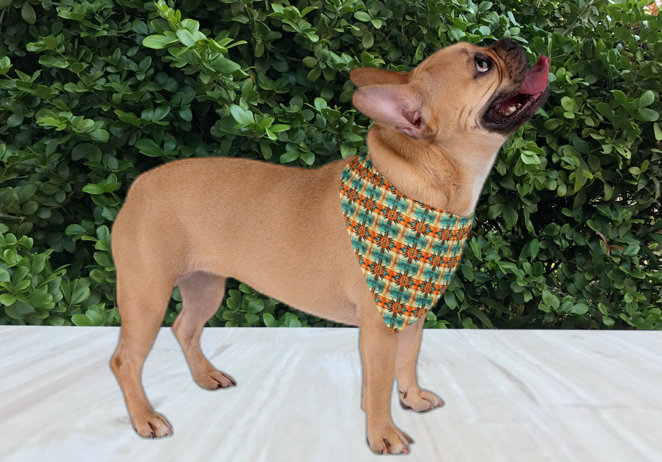 🌞 French Bulldog Dog Bandana – Aztec Tribal-Inspired Pet Scarf, Colorful Frenchie Apparel and Stylish Gift for Dog Lovers