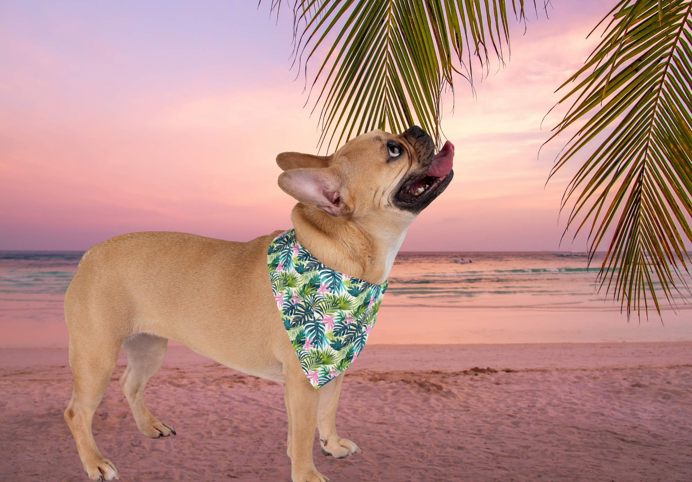 🌴 French Bulldog Tropical Bandana – Palm Leaf Dog Scarf | Summer Frenchie Apparel and Gift for Dog Lovers