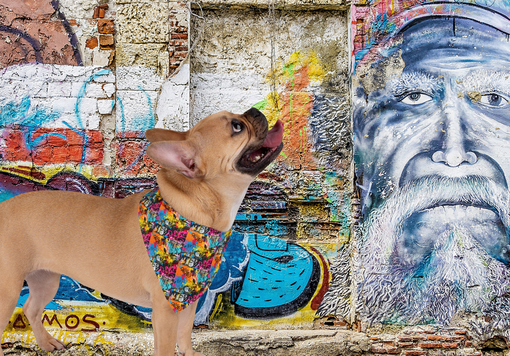 🎨Vibrant Graffiti Pet Bandana – Chic and Colorful for Playful French Bulldogs