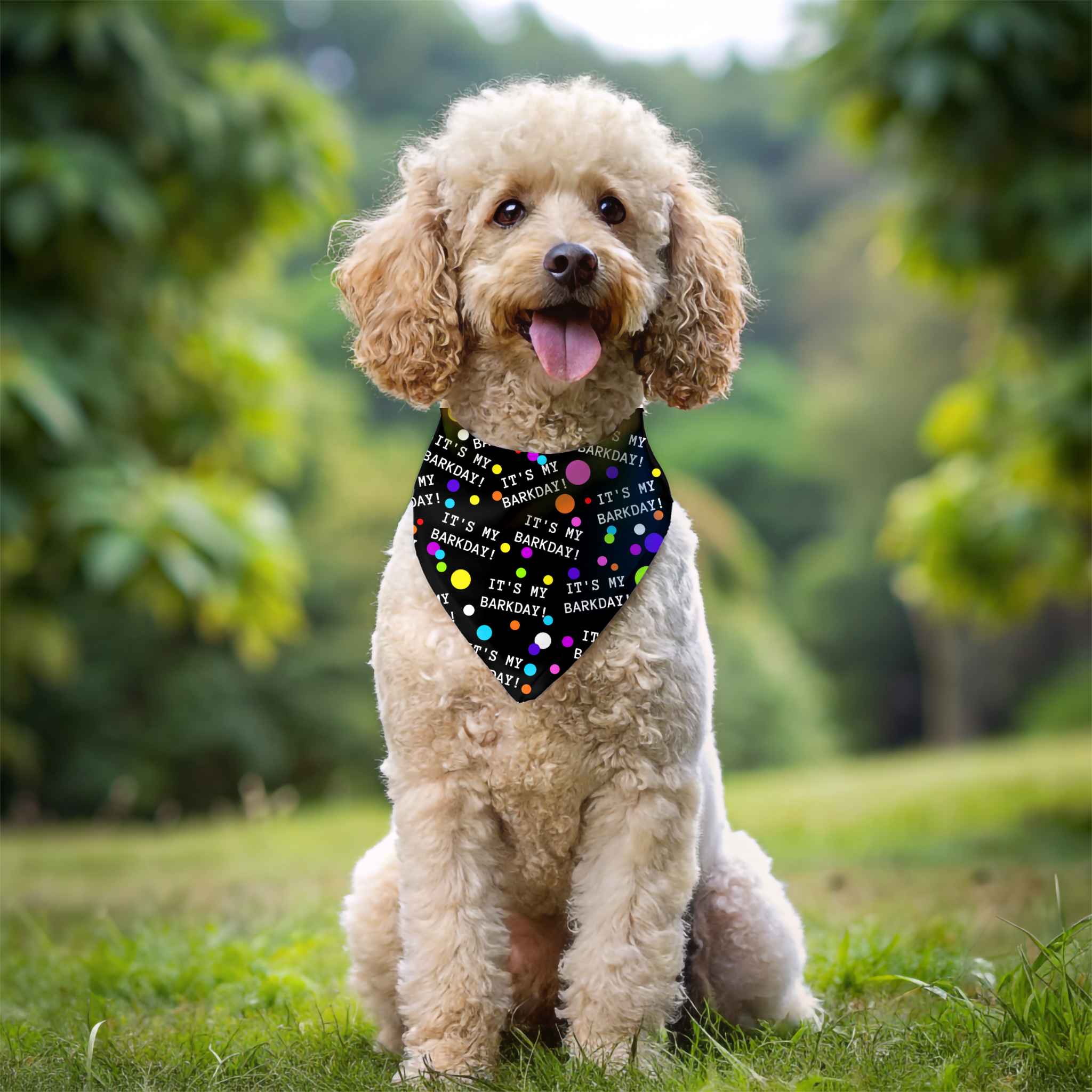 Pet Bandana Collar - It's My Barkday Black Pet Bandana Collar - It's My Barkday Black