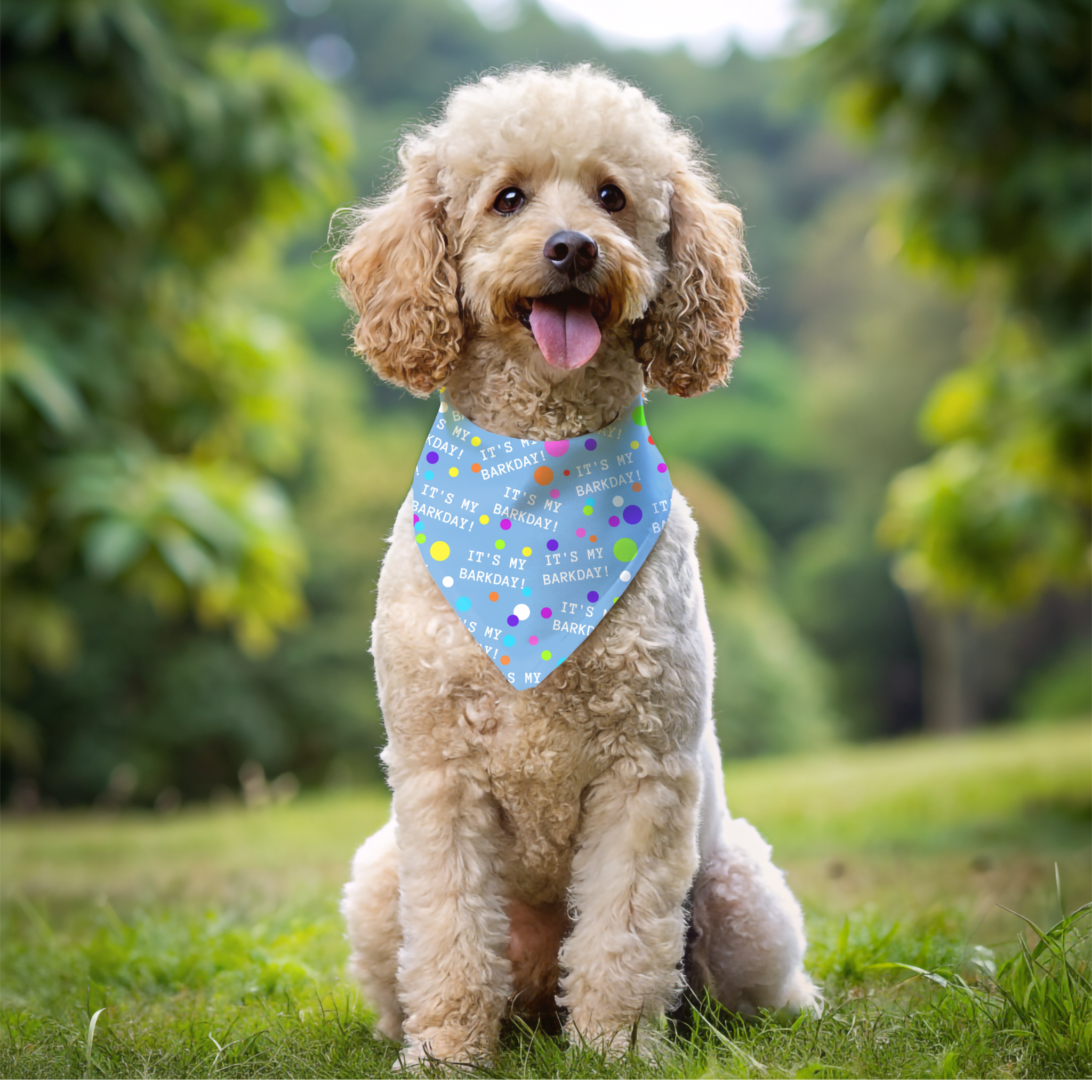 Pet Bandana Collar - It’s My Barkday Light Blue