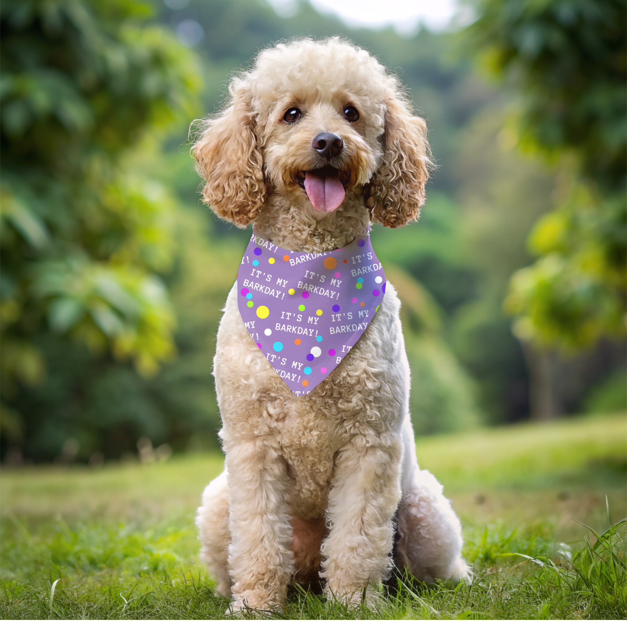 Pet Bandana Collar - It's My Barkday Light Purple product thumbnail image Pet Bandana Collar - It's My Barkday Light Purple product thumbnail image