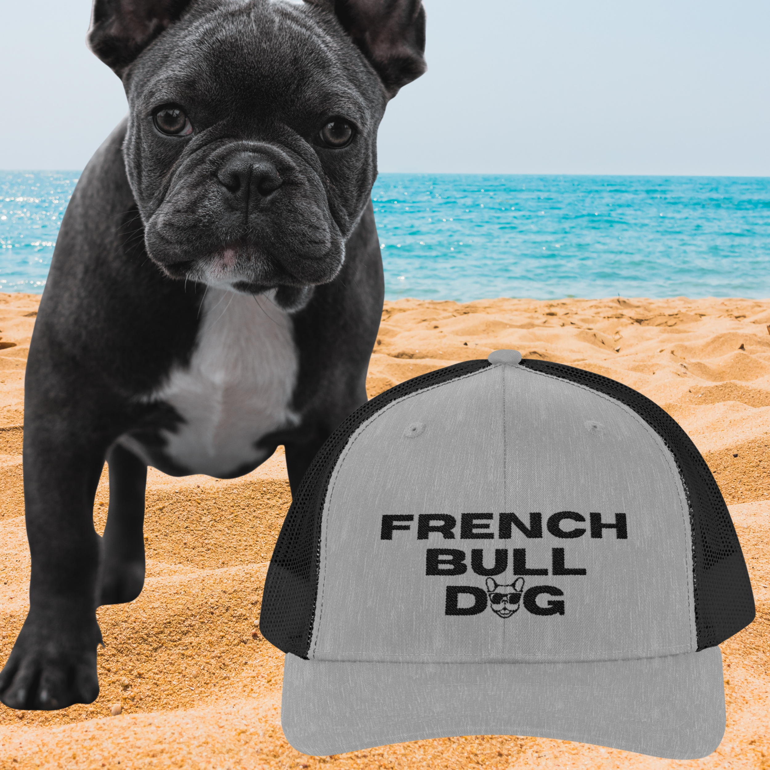 🧢 French Bulldog Cool Vibes Snapback Trucker Cap – Rock That Frenchie Attitude | 8 Great Colors