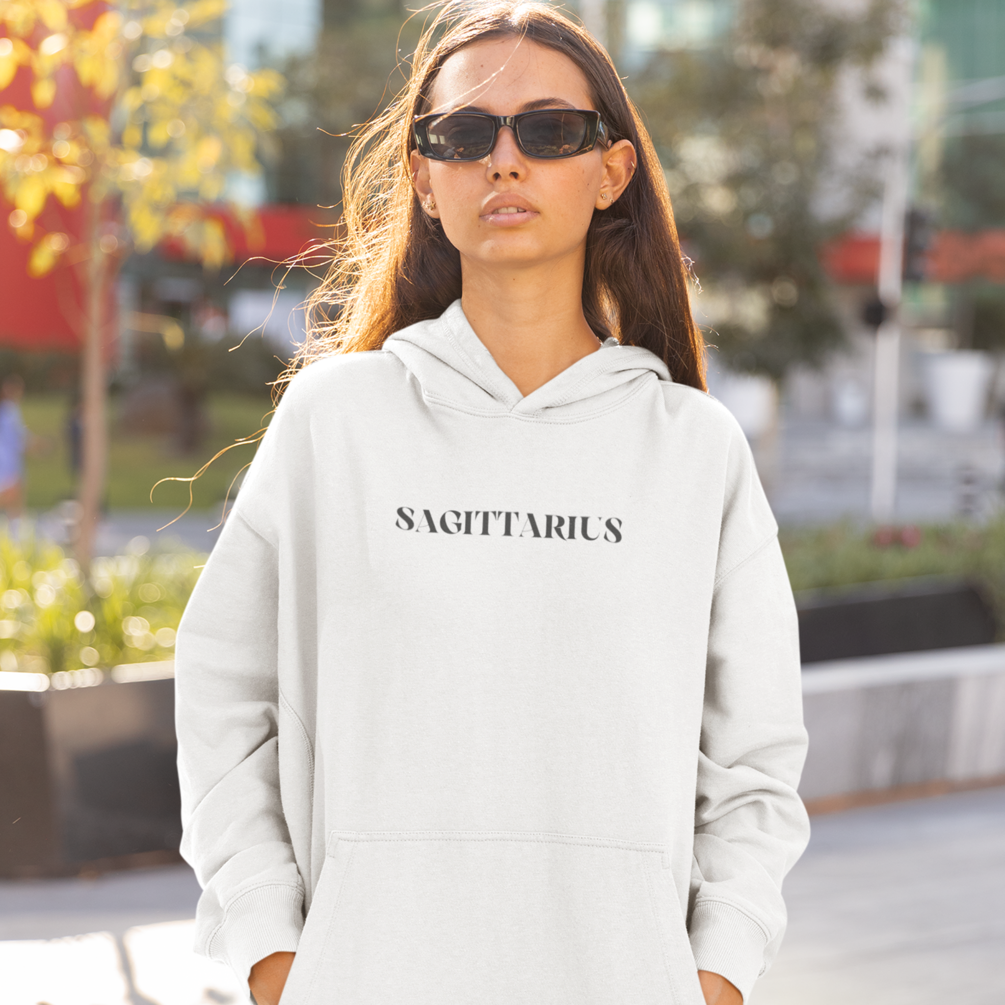 Sagittarius Zodiac Hoodie