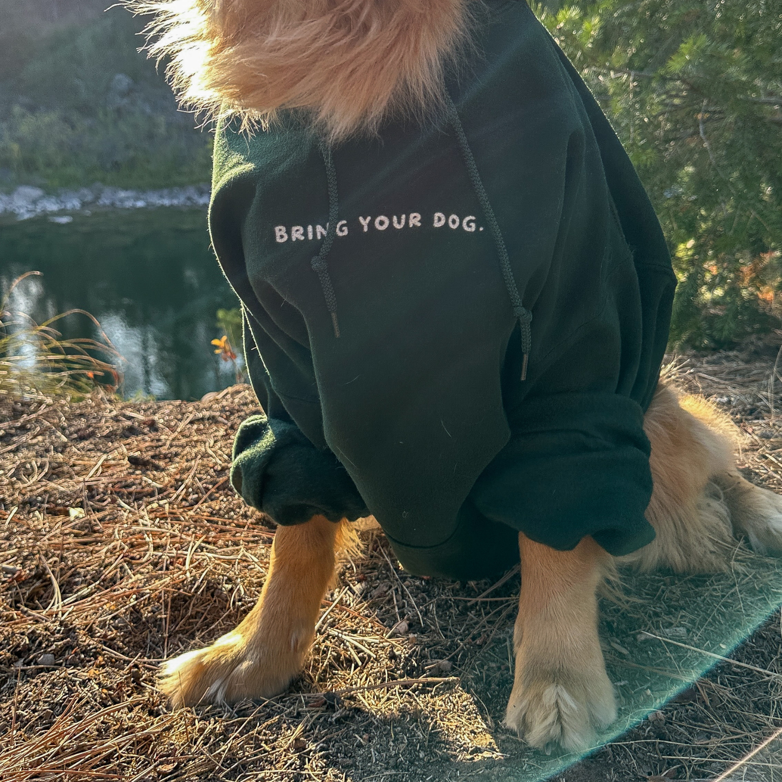 Bring Your Dog. - Unisex Heavy Blend™ Hooded Sweatshirt product thumbnail image
