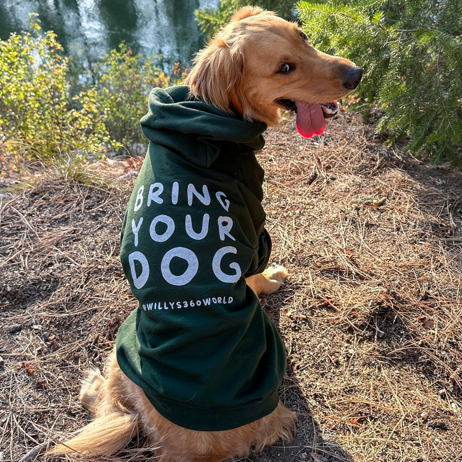 Bring Your Dog. - Unisex Heavy Blend™ Hooded Sweatshirt product thumbnail image Bring Your Dog. - Unisex Heavy Blend™ Hooded Sweatshirt product thumbnail image