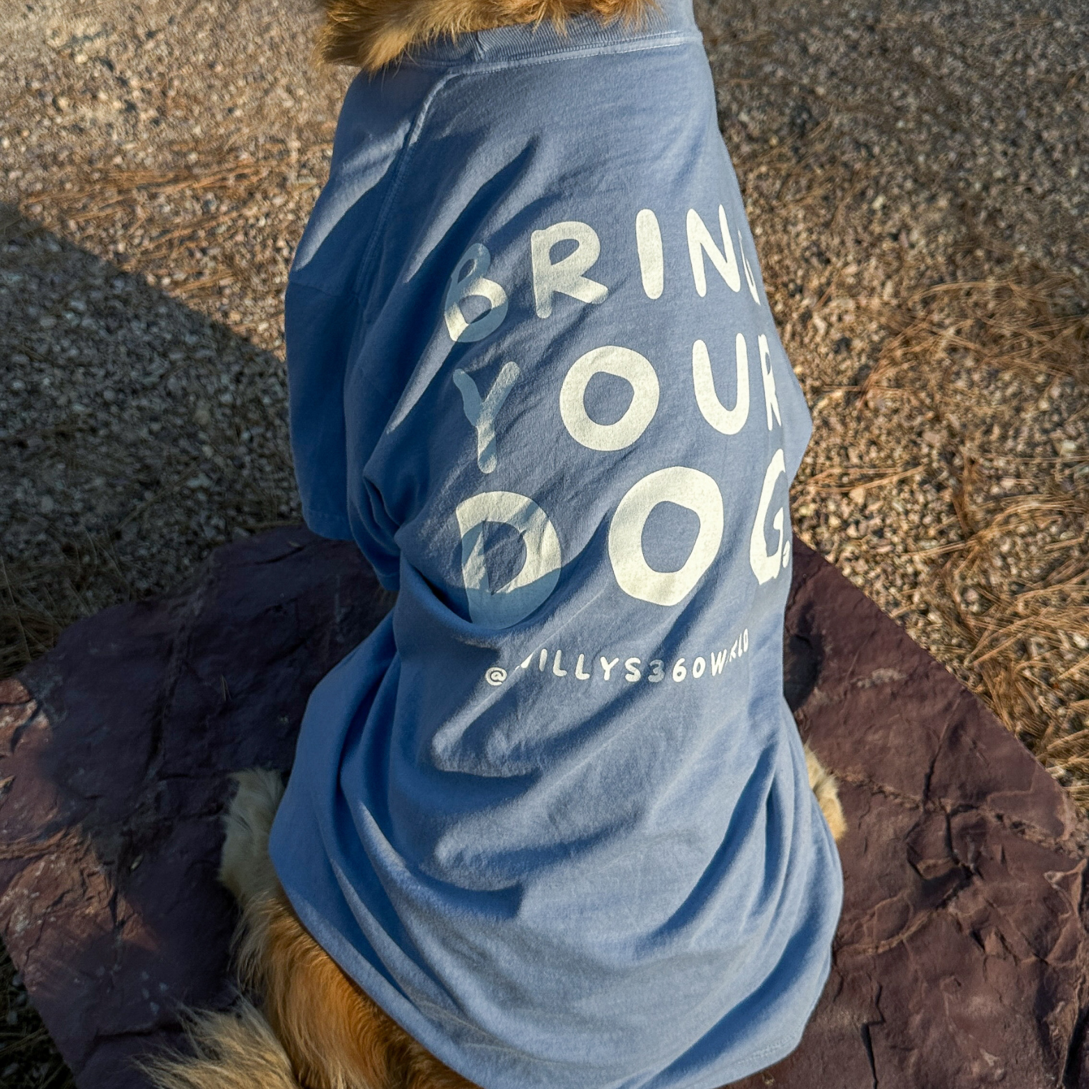 Bring Your Dog. - Unisex Tee product thumbnail image