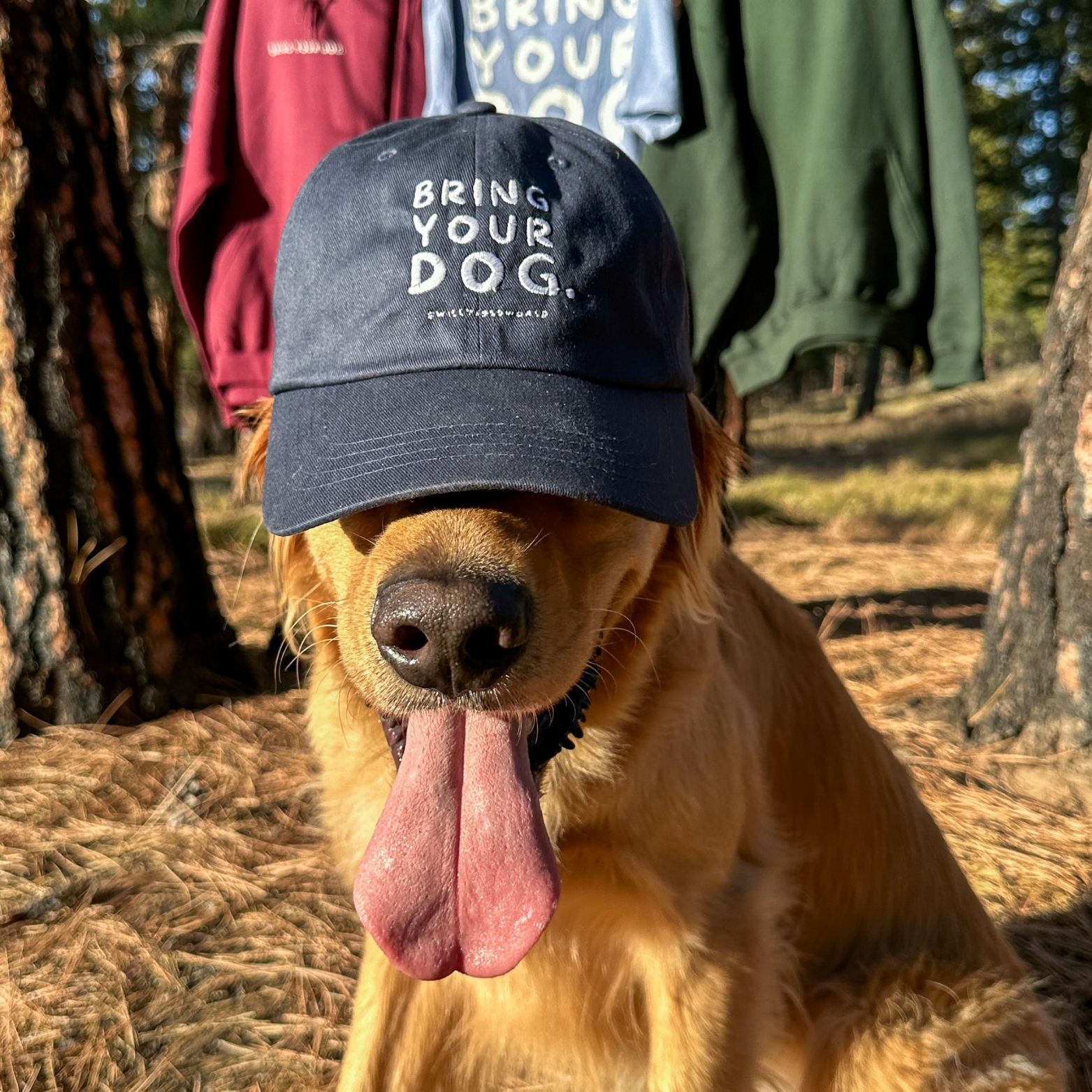 Classic Dad Hat - Bring Your Dog. 