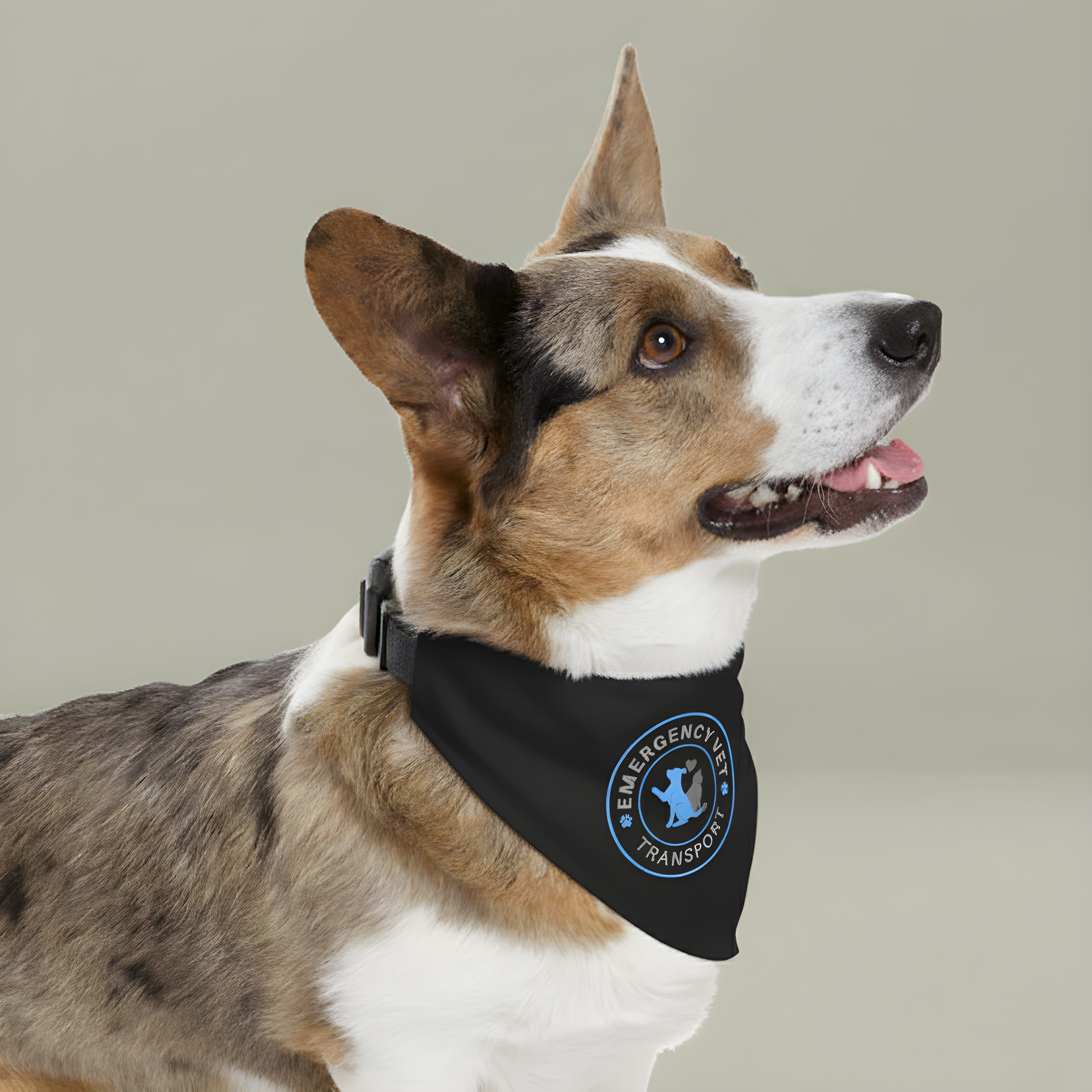 Emergency Vet Transport Clip-on Pet Bandana, Pet Accessory, Dog Safety Gear, Dog Fashion, Pet Gift, Emergency Pet Bandana product thumbnail image Emergency Vet Transport Clip-on Pet Bandana, Pet Accessory, Dog Safety Gear, Dog Fashion, Pet Gift, Emergency Pet Bandana product thumbnail image