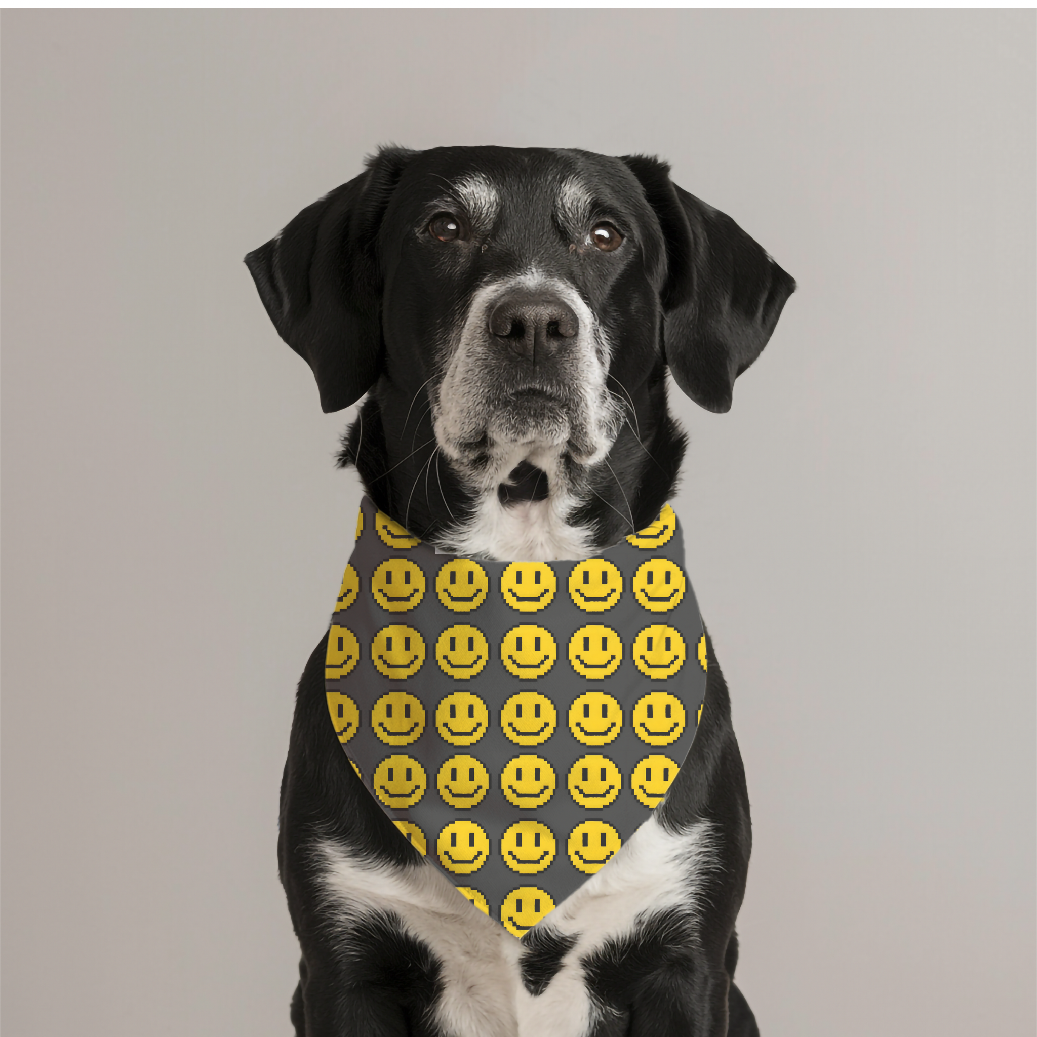 Dog Bandana Collar - Pixelated Smiley Face Dog Bandana Collar - Pixelated Smiley Face