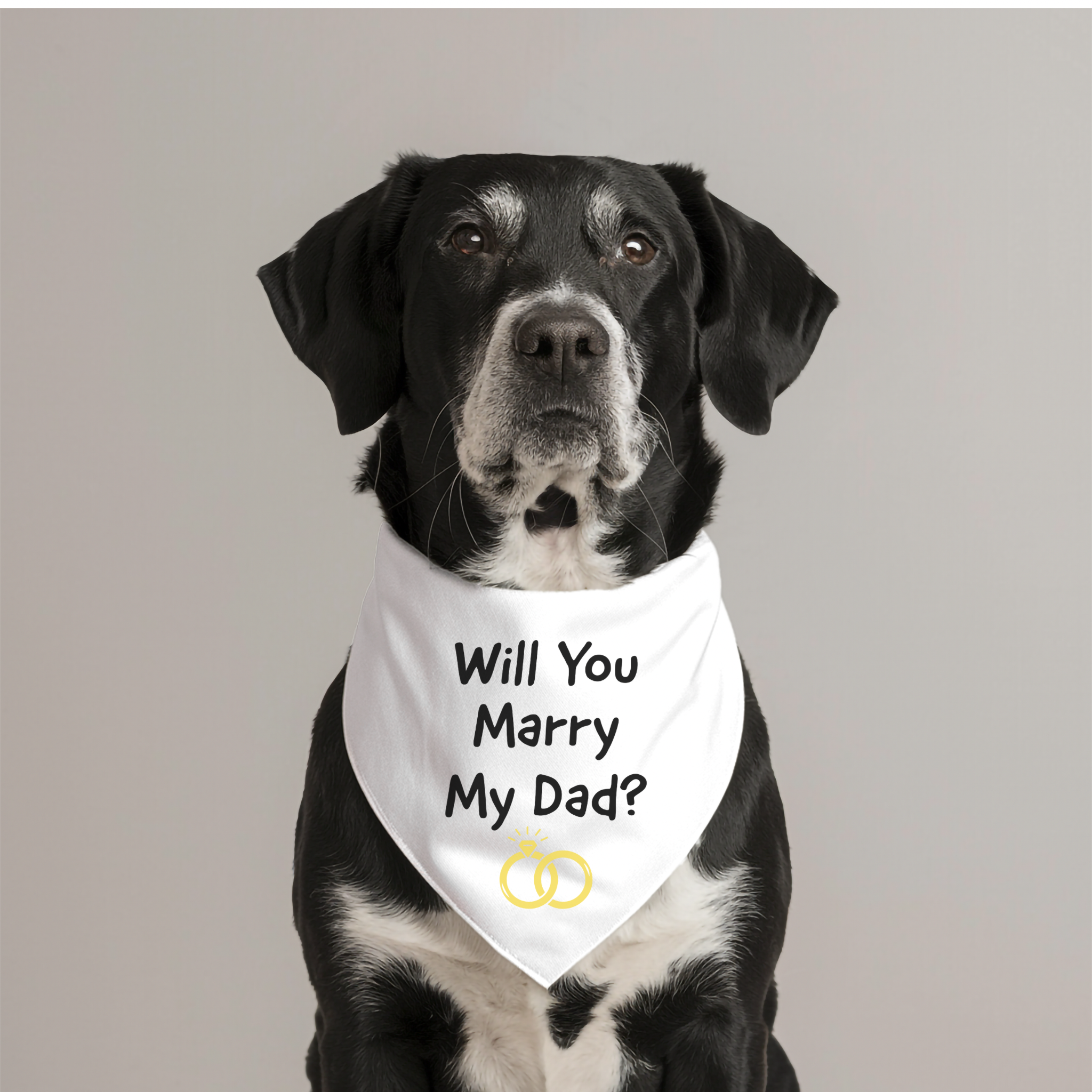 Pet Bandana Collar - Will You Marry My Dad? product thumbnail image Pet Bandana Collar - Will You Marry My Dad? product thumbnail image