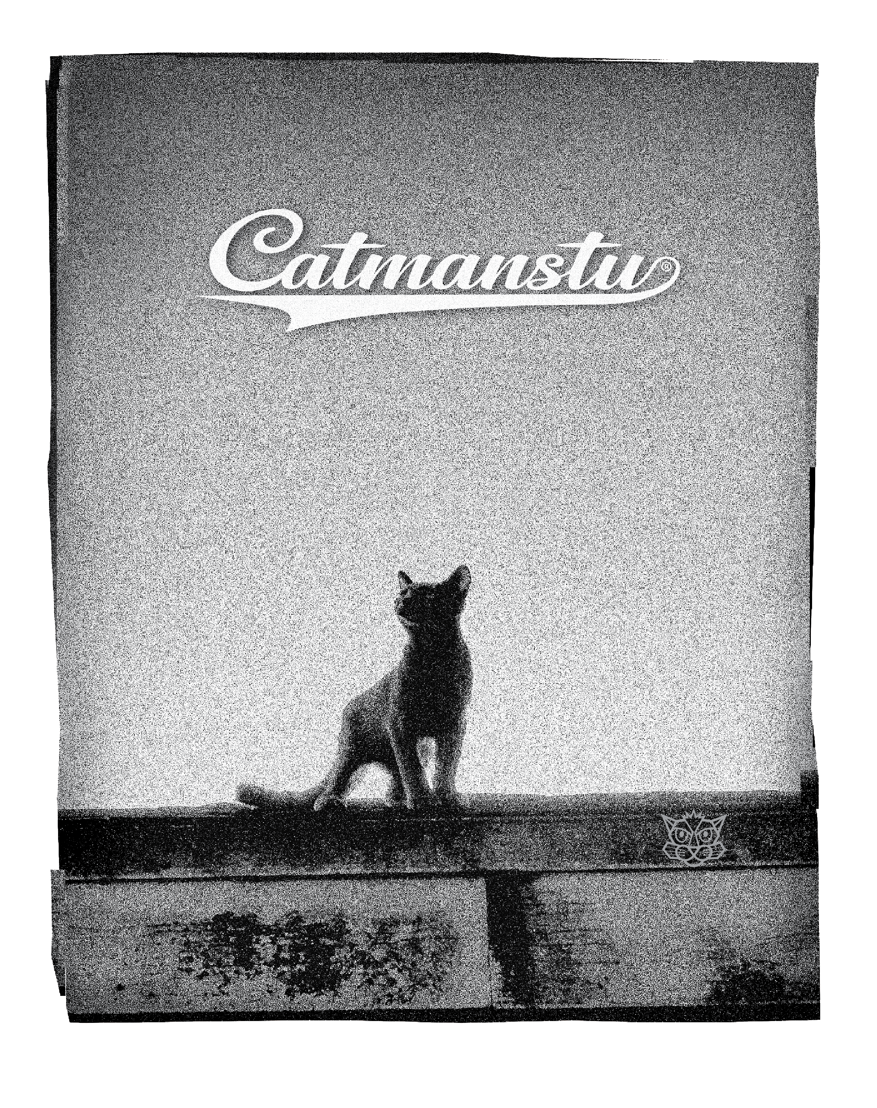 Vintage-Style CatManStu Skater tee - urban black & white photo by StuArt Bailey. product thumbnail image Vintage-Style CatManStu Skater tee - urban black & white photo by StuArt Bailey. product thumbnail image