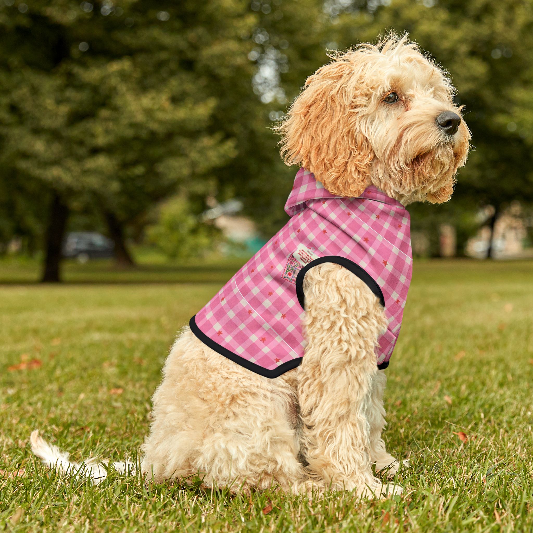 Personalized Pet Hoodie, Cozy Cats and Dogs Apparel, Cute Pet Designs, Pet Hoodies, Gift for Pet Lovers, Soft Pet Costume product thumbnail image
