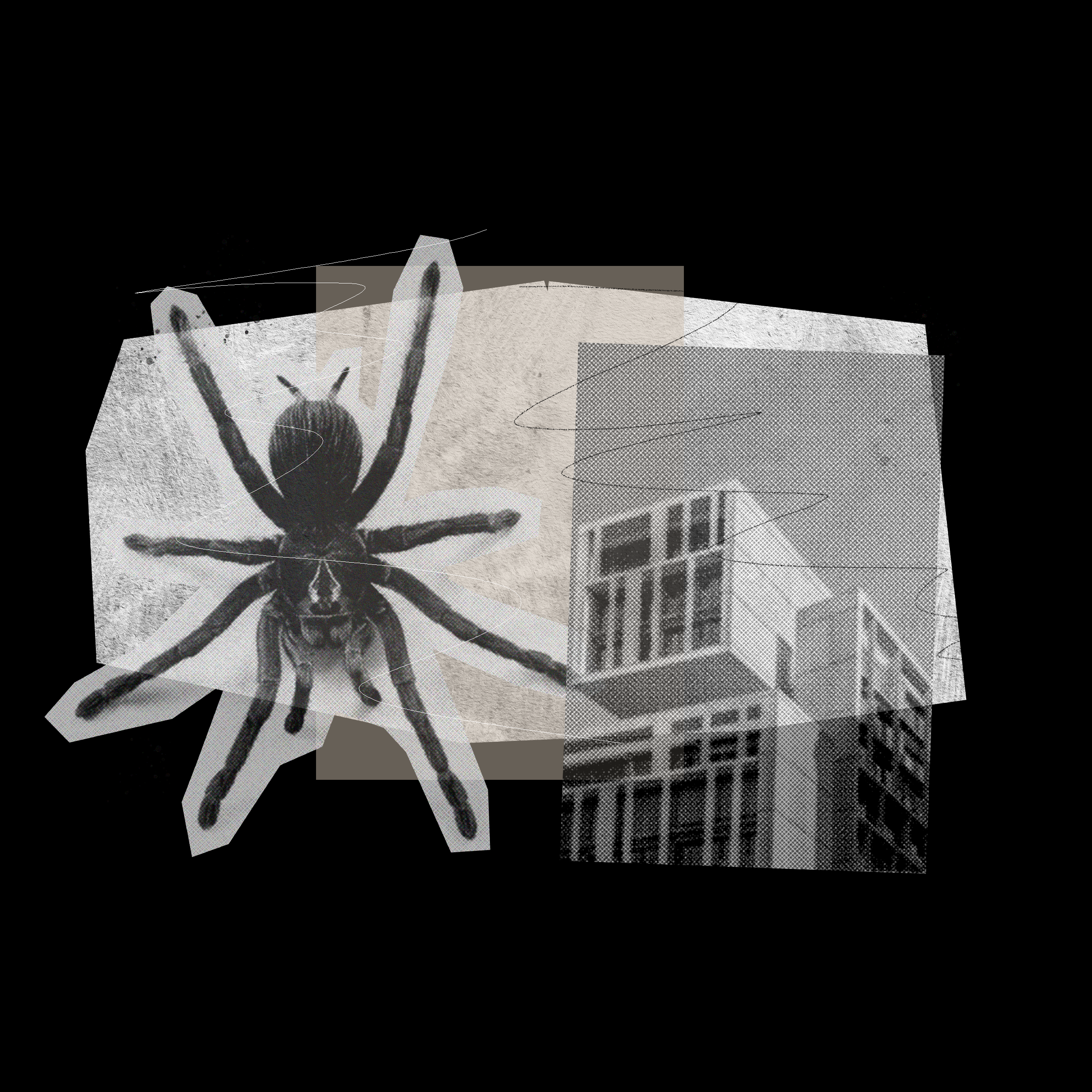 SPIDER T-Shirt product thumbnail image SPIDER T-Shirt product thumbnail image