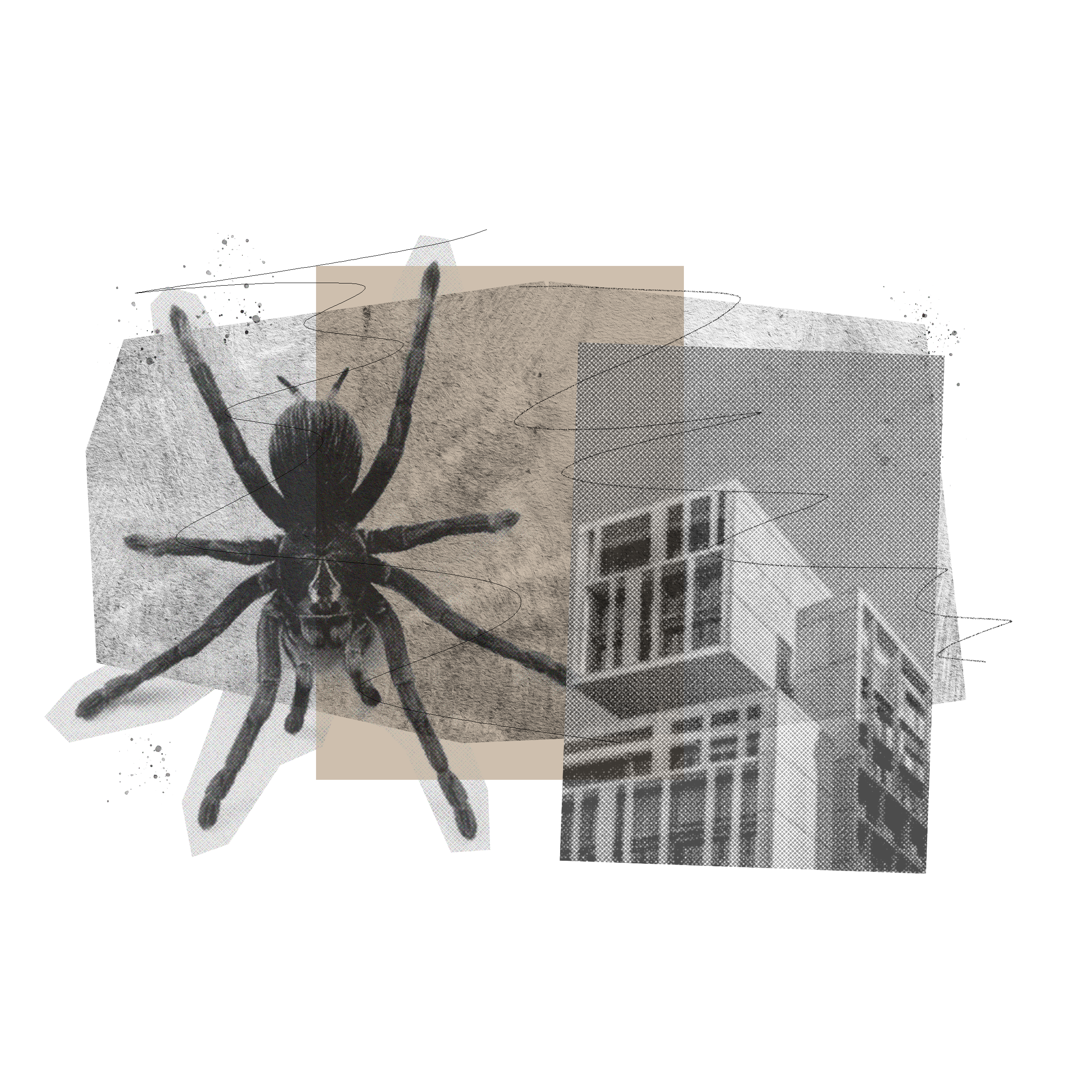 SPIDER T-Shirt product thumbnail image SPIDER T-Shirt product thumbnail image