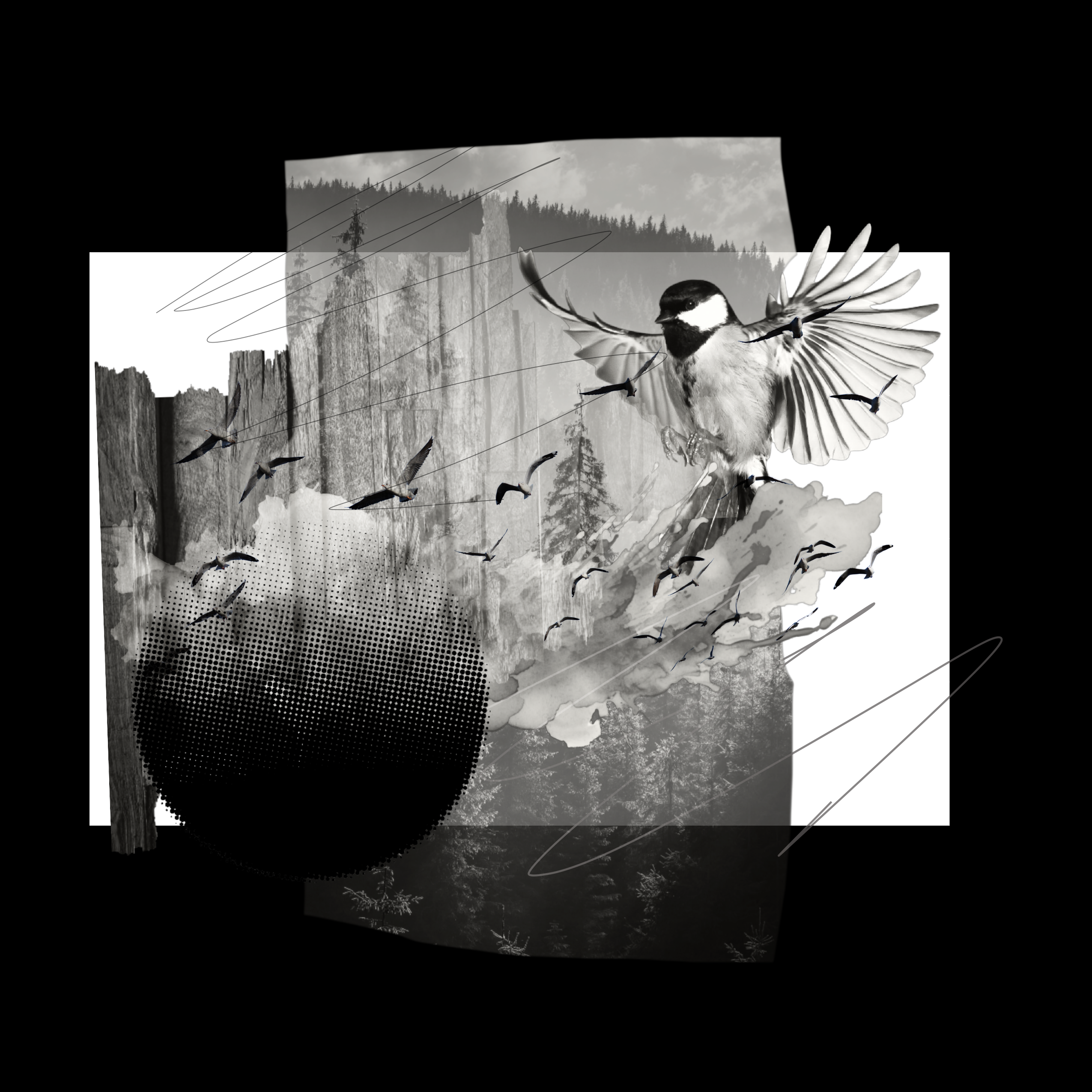 BIRDS T-Shirt product thumbnail image BIRDS T-Shirt product thumbnail image