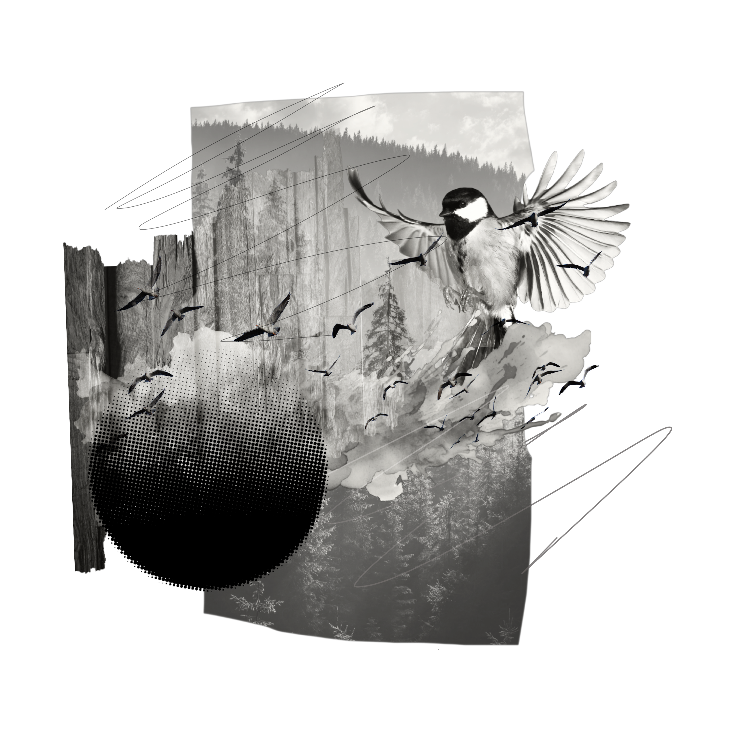 BIRDS T-Shirt product thumbnail image BIRDS T-Shirt product thumbnail image