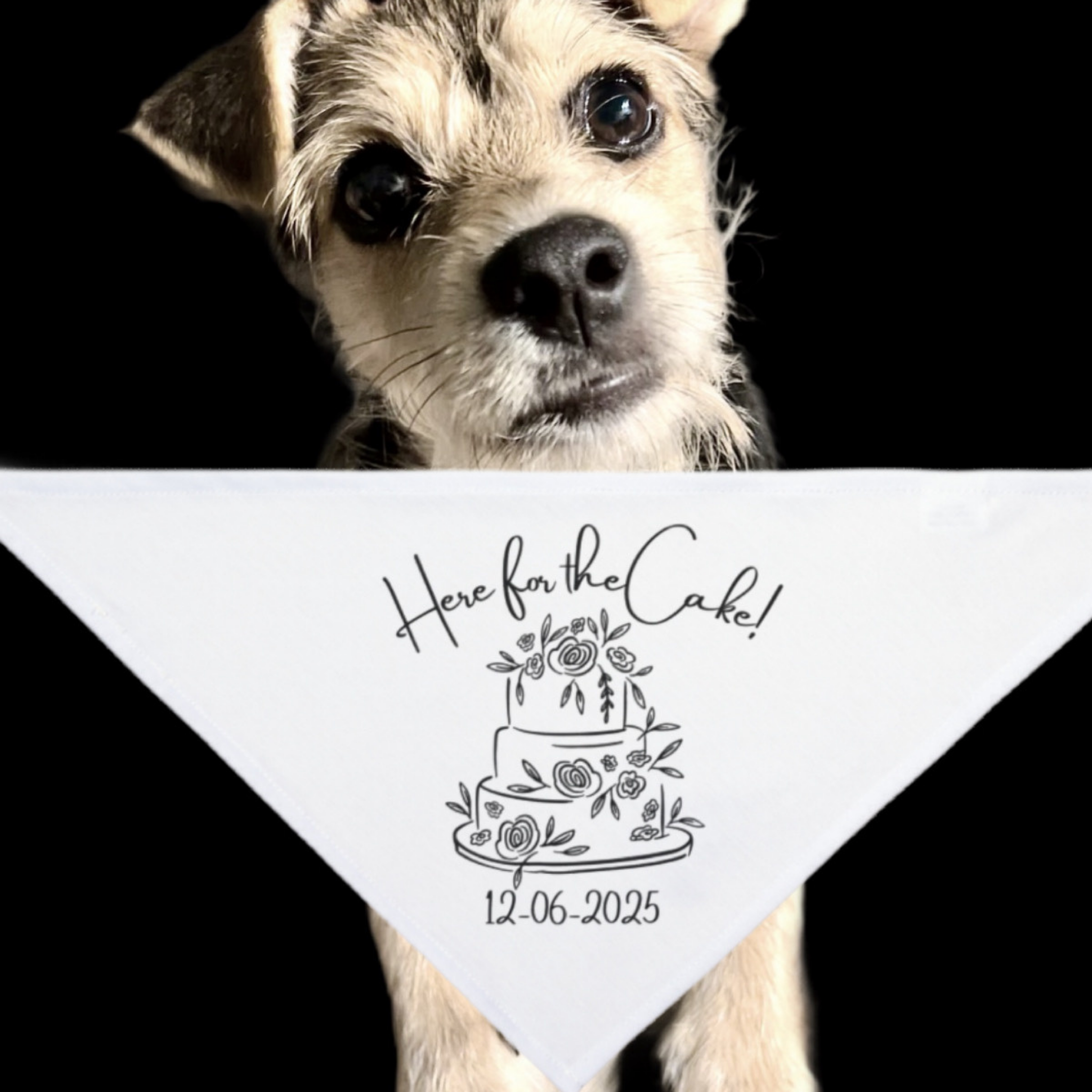 Personalized Pet Bandana for Weddings - 'Here for the Cake!' Dog Accessory, Pet Wedding Attire, Customizable Pet Gear, Bridal Party [...] product thumbnail image