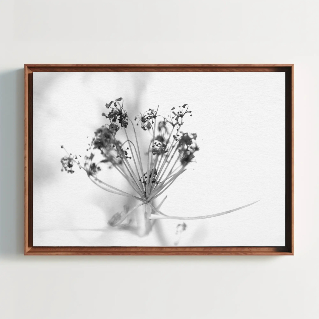 Elegant Black and White Flower Art Print, Framed Wall Decor, Botanical Home Decor, Minimalist Artwork, Gift for Nature Lovers product thumbnail image Elegant Black and White Flower Art Print, Framed Wall Decor, Botanical Home Decor, Minimalist Artwork, Gift for Nature Lovers product thumbnail image