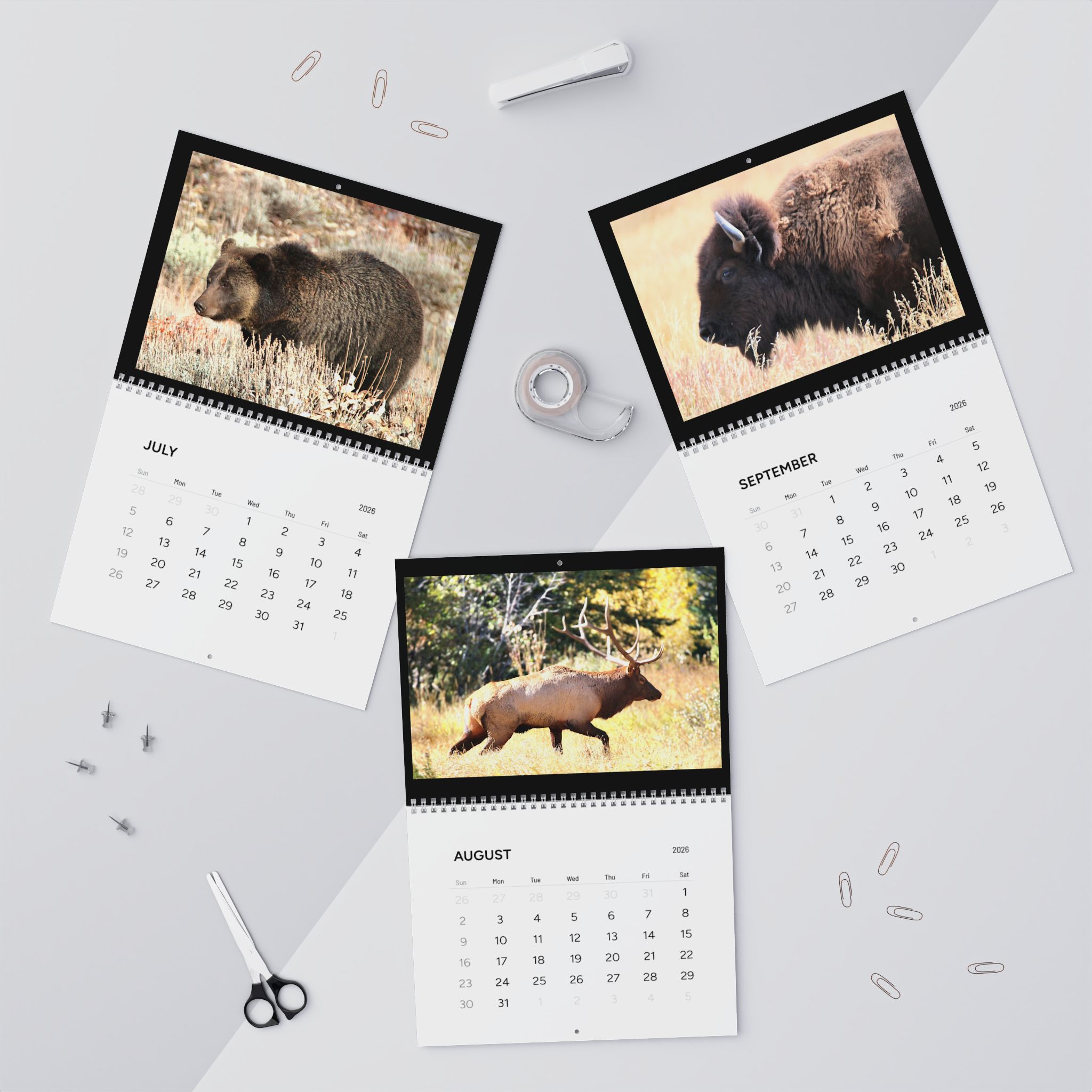 Wildlife Wall Calendars (2026) Photography by Jessica Campbell