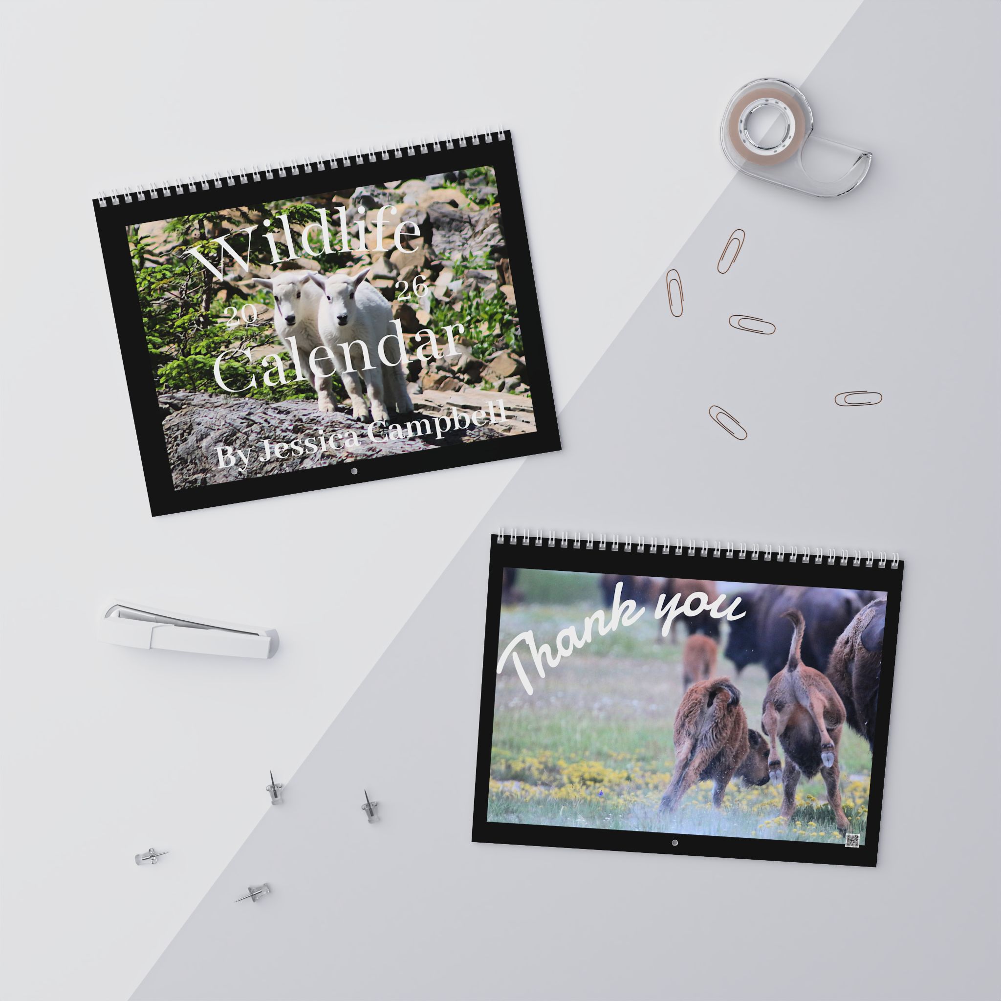 Wildlife Wall Calendars (2026) Photography by Jessica Campbell product thumbnail image Wildlife Wall Calendars (2026) Photography by Jessica Campbell product thumbnail image