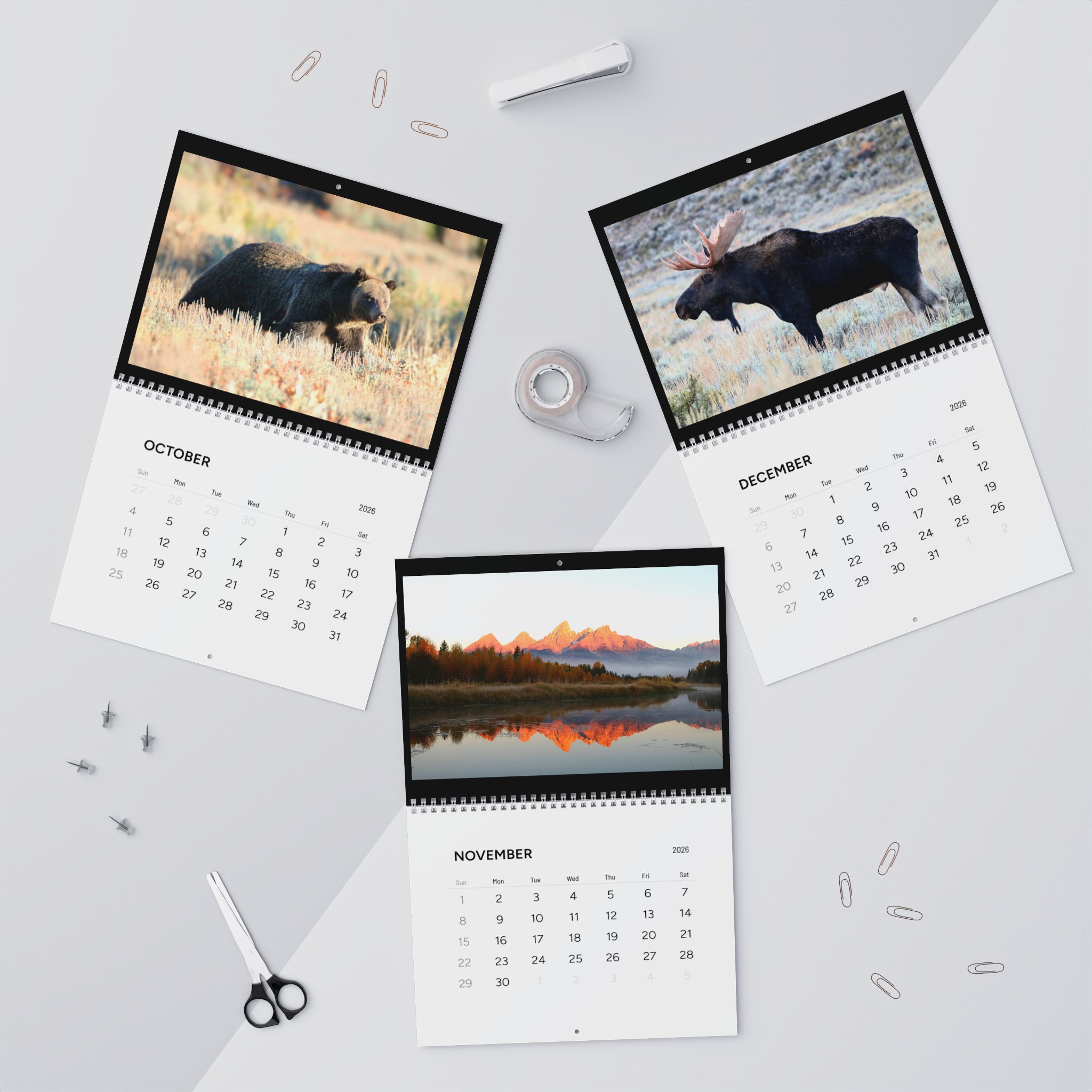 Wildlife & Landscape Wall Calendars (2026) Photography by Jessica Campbell Wildlife & Landscape Wall Calendars (2026) Photography by Jessica Campbell