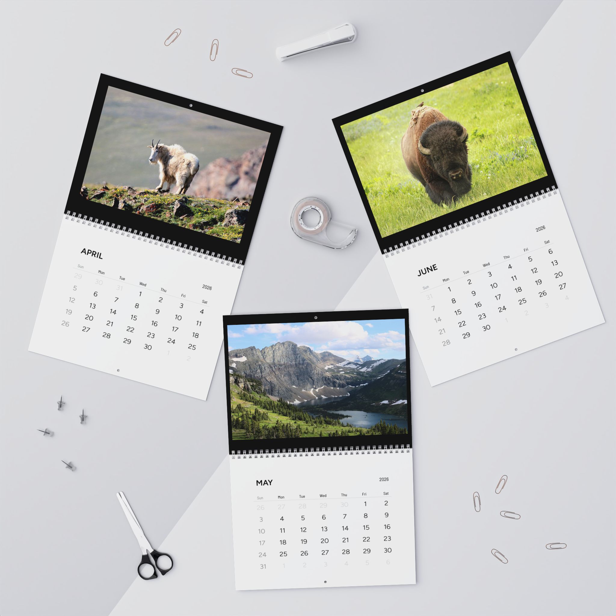 Wildlife & Landscape Wall Calendars (2026) Photography by Jessica Campbell product thumbnail image Wildlife & Landscape Wall Calendars (2026) Photography by Jessica Campbell product thumbnail image